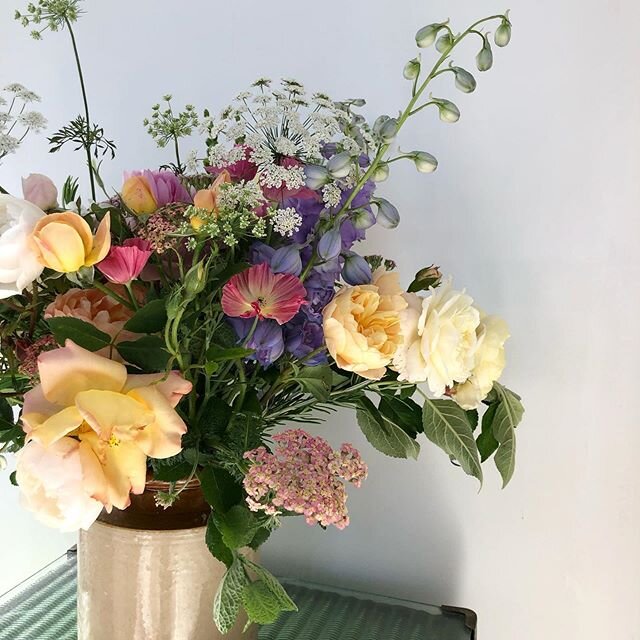 Won a giveaway with @elderandwild last week &amp; went to collect these absolute beauties yesterday afternoon 💕 they were just what I needed as I&rsquo;ve felt a bit meh this week, Ben&rsquo;s got terrible hay fever so they&rsquo;re living on my stu