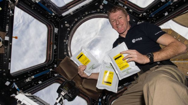 Tim Peake on the ISS with the Rocket seeds (image ESA/NASA)