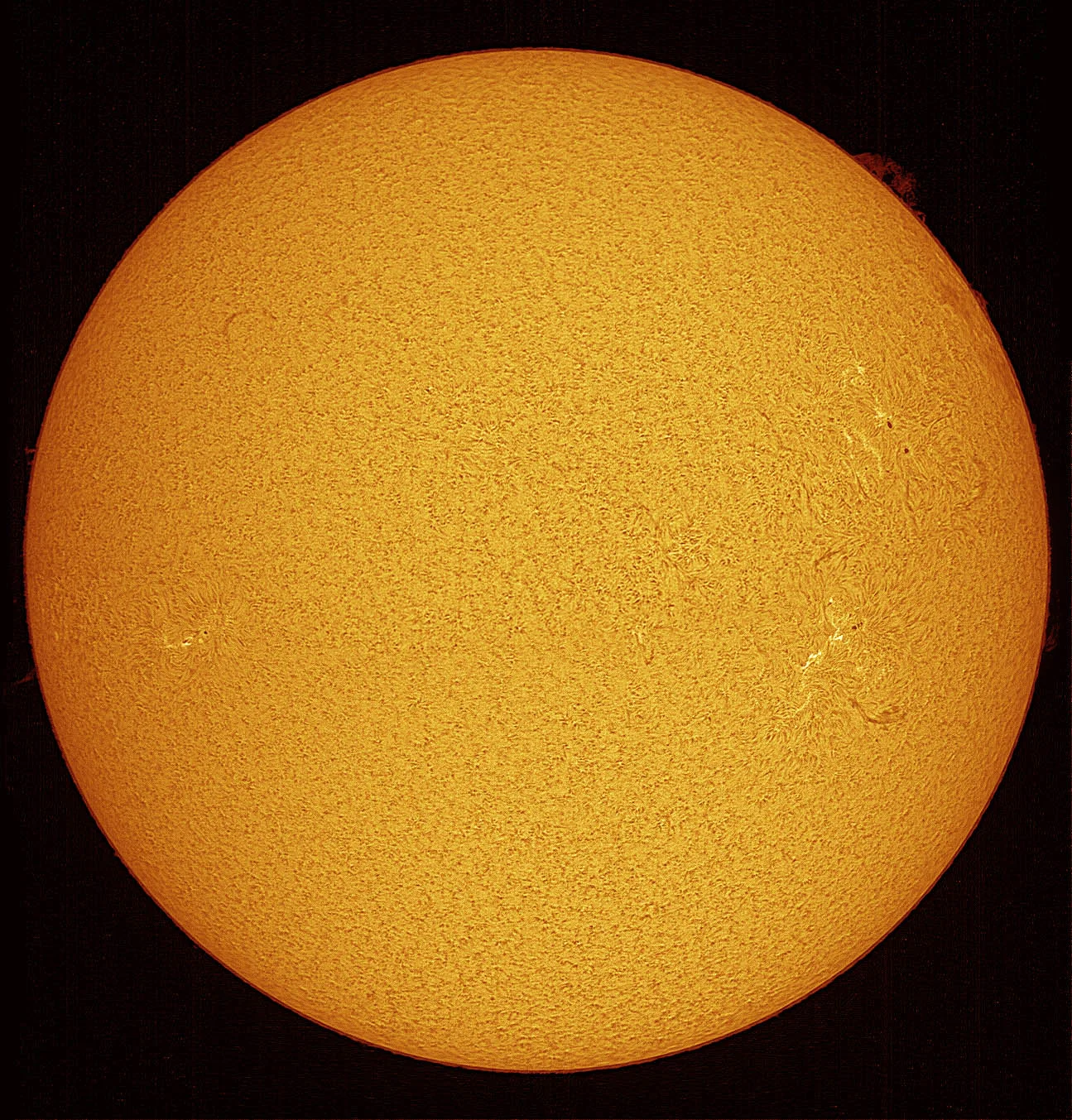 The Sun Ha - False Colour
