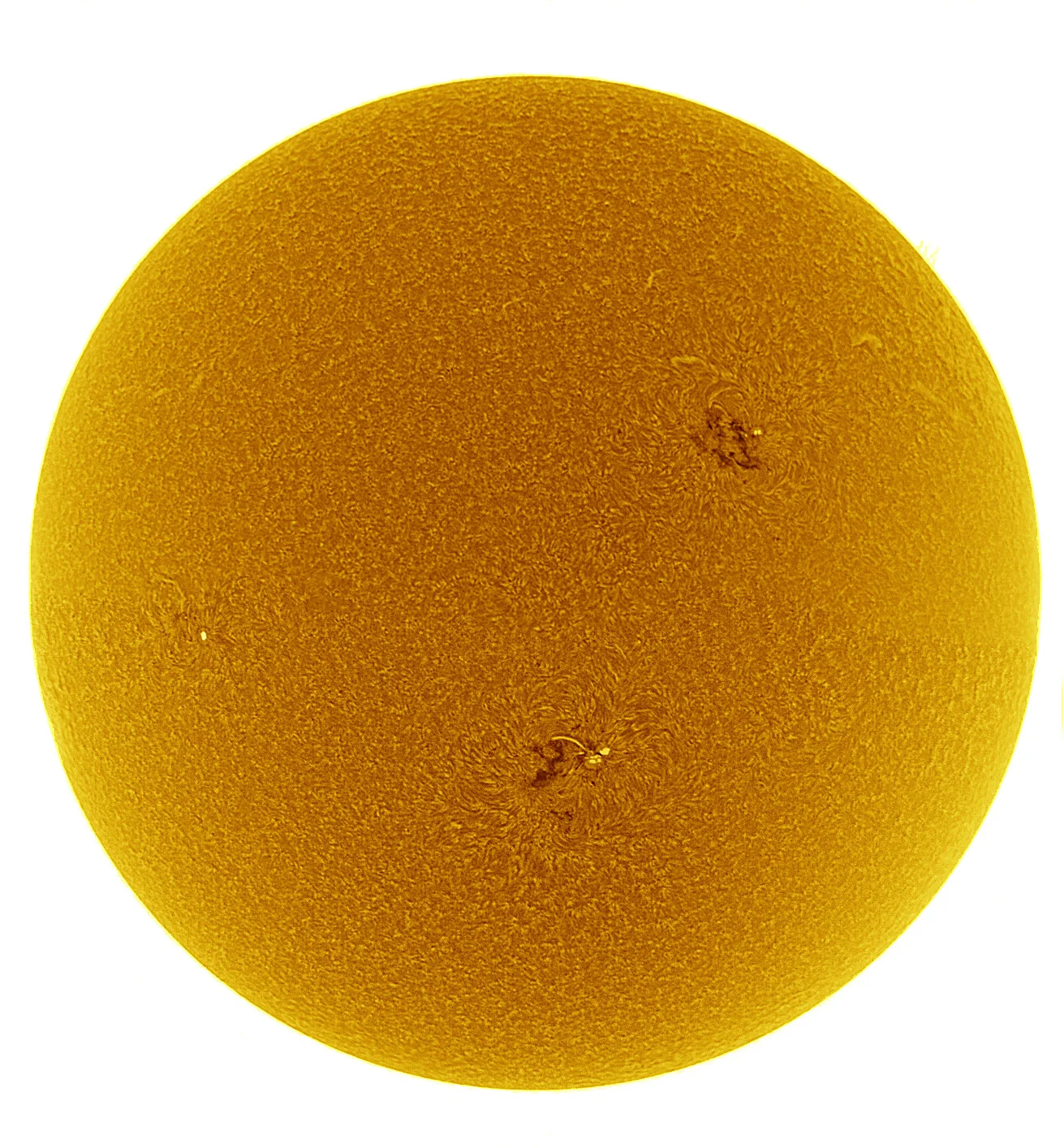 False colour inverted Sun