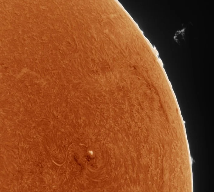 The Sun - detached prominence 1st August 2026