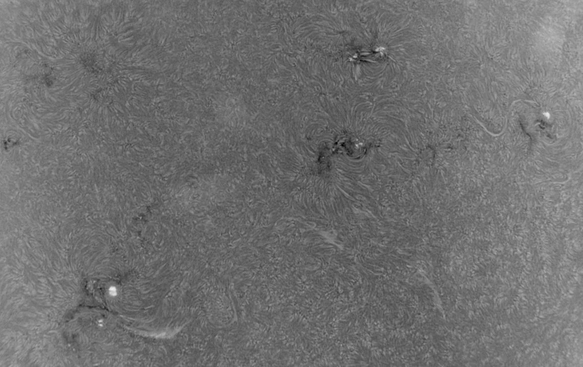 The Sun - Active Regions 4500, 4498, 4499, 4501 & 4496. 1st August 2026