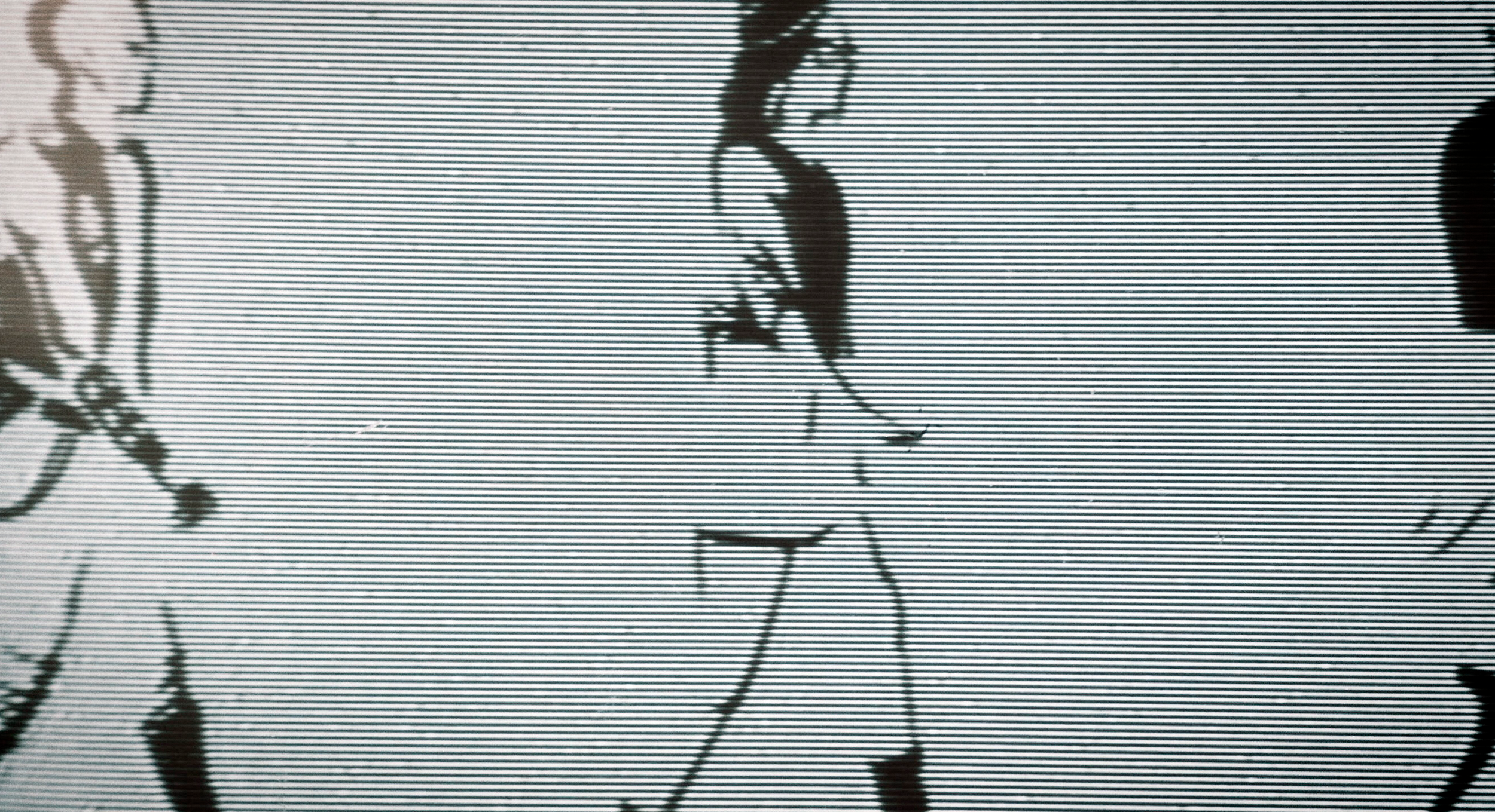 005.png