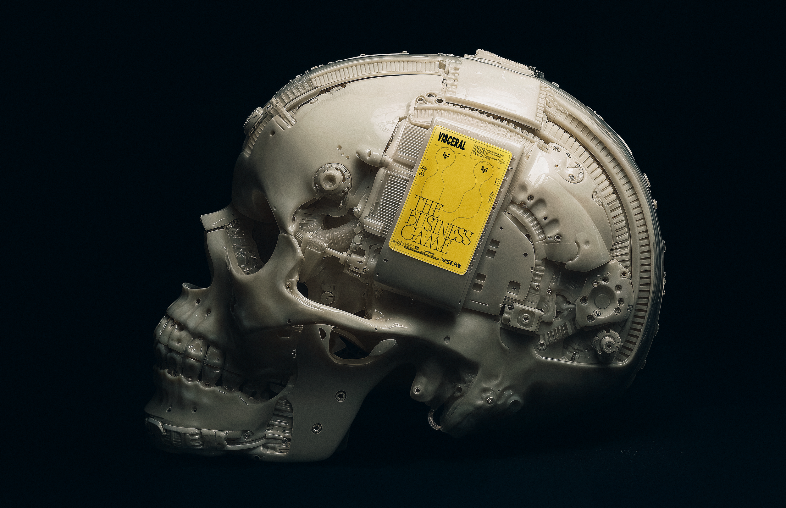 cranio_001.png