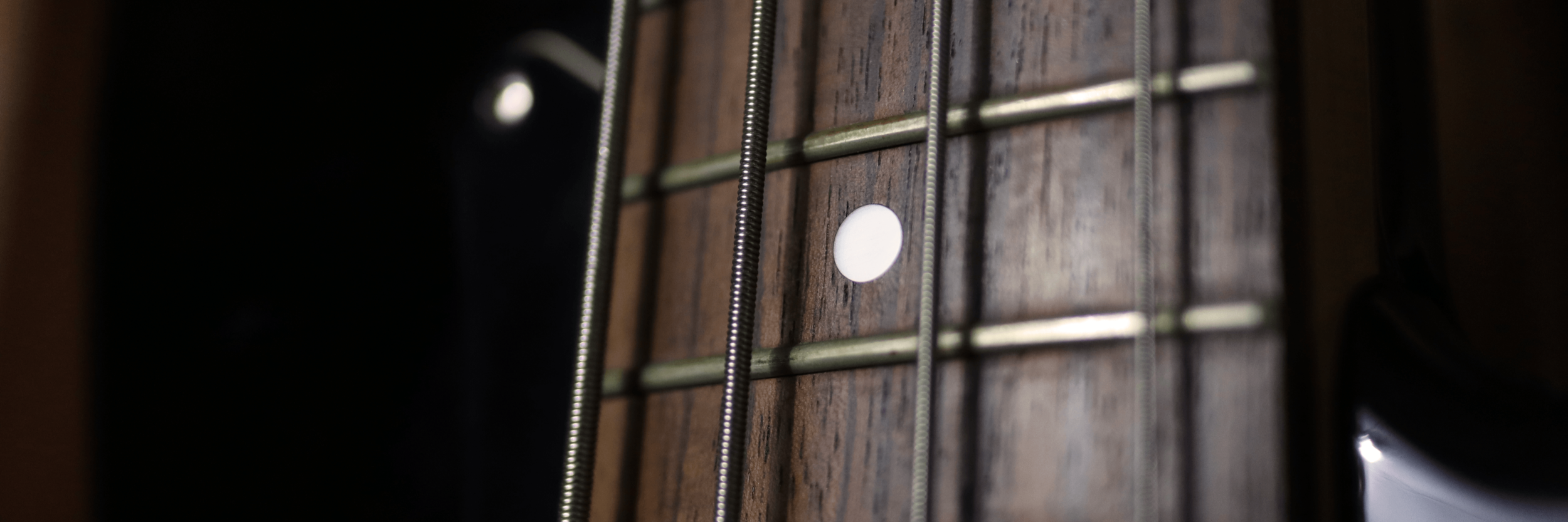 BASS FRETS.png