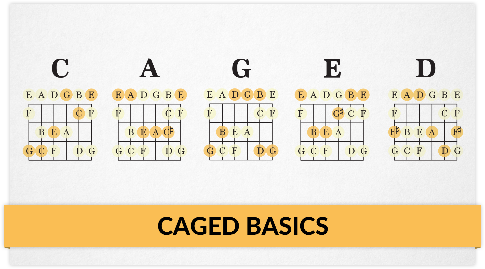 CAGED System caged-system