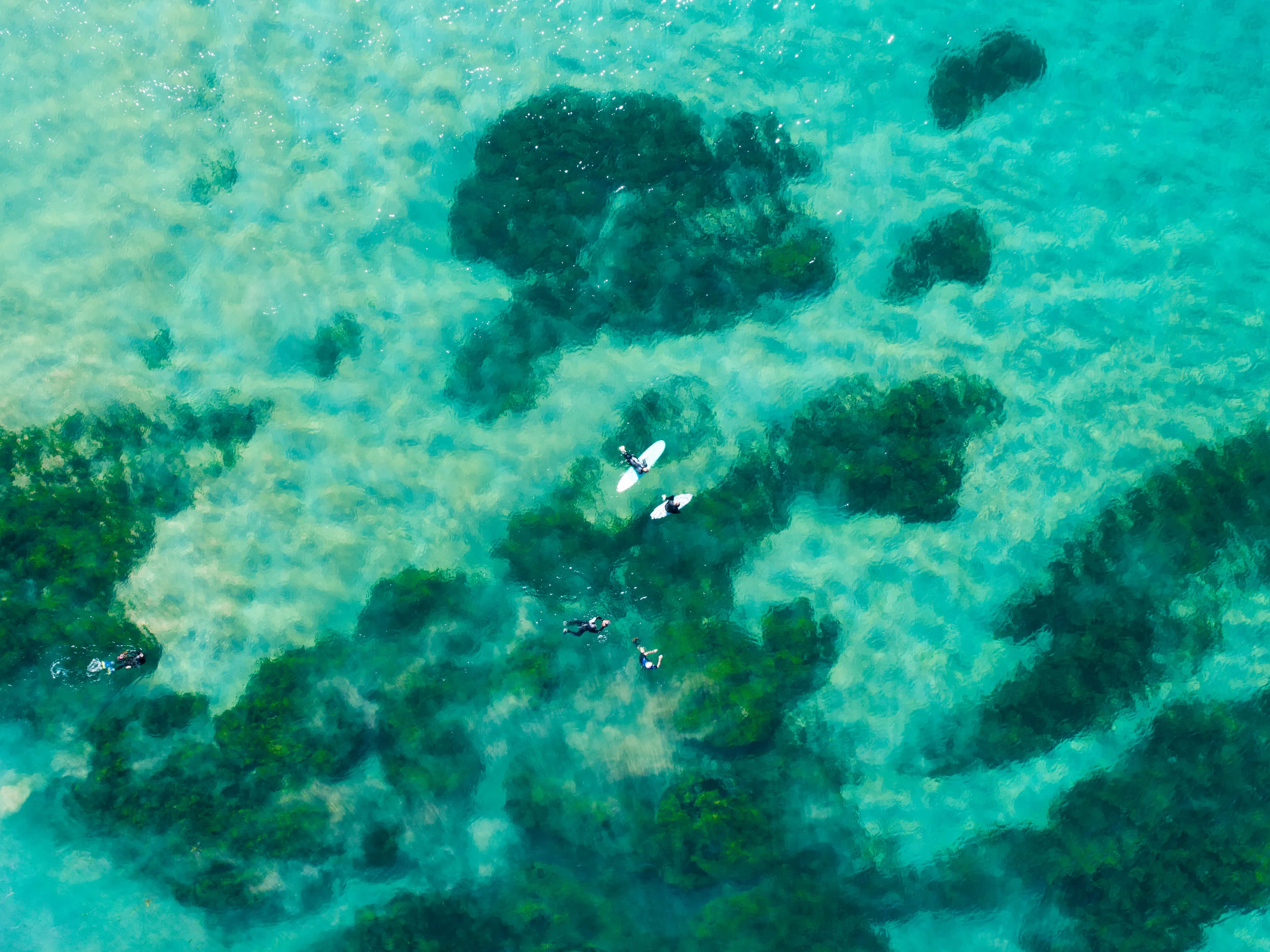 DJI_0028-2.jpg