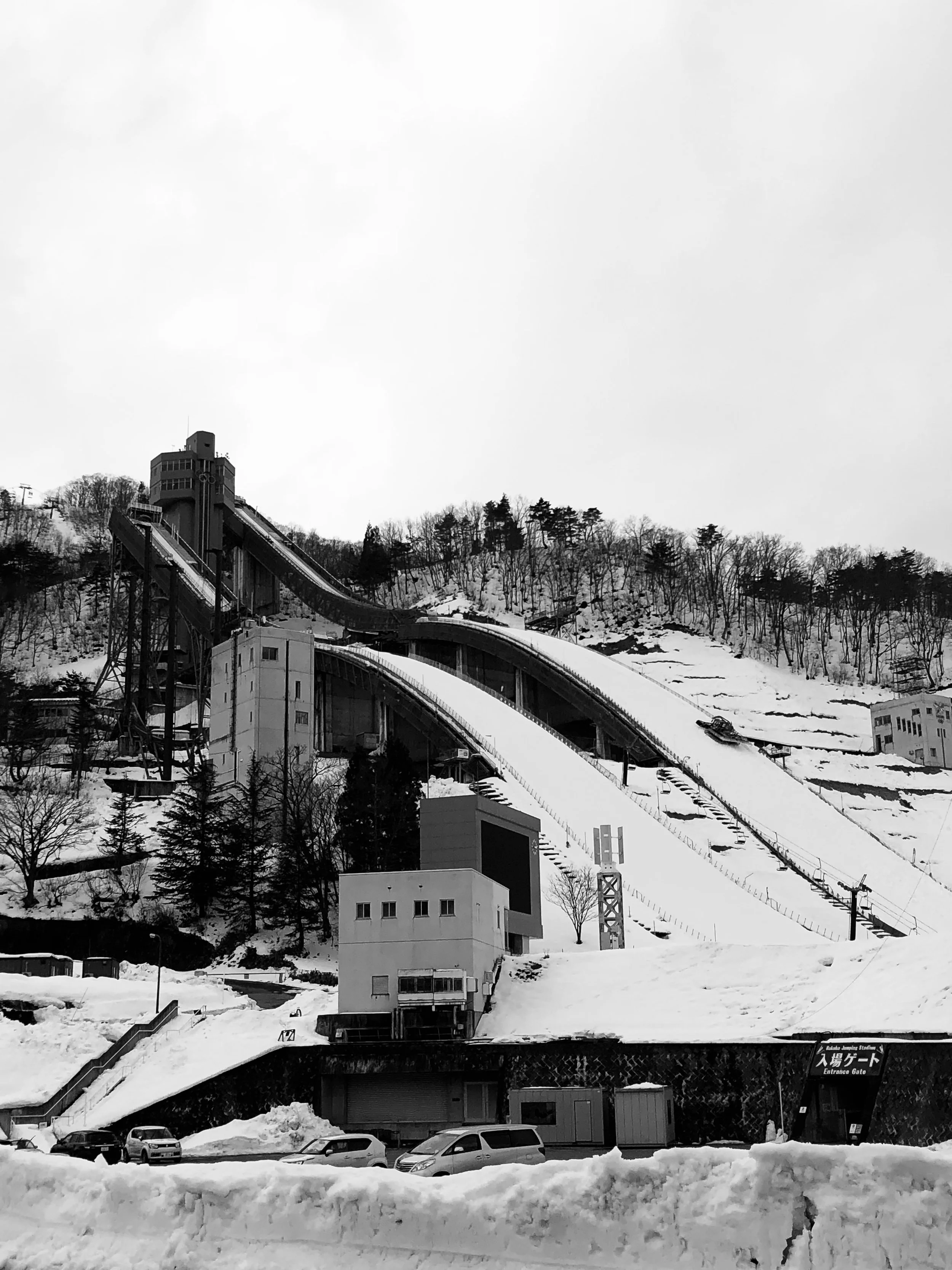 IMG_6526.JPG