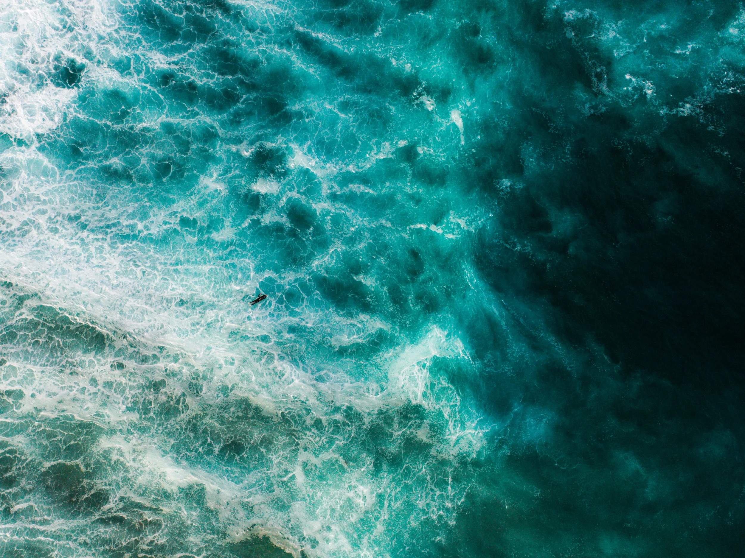 DJI_0001.jpg