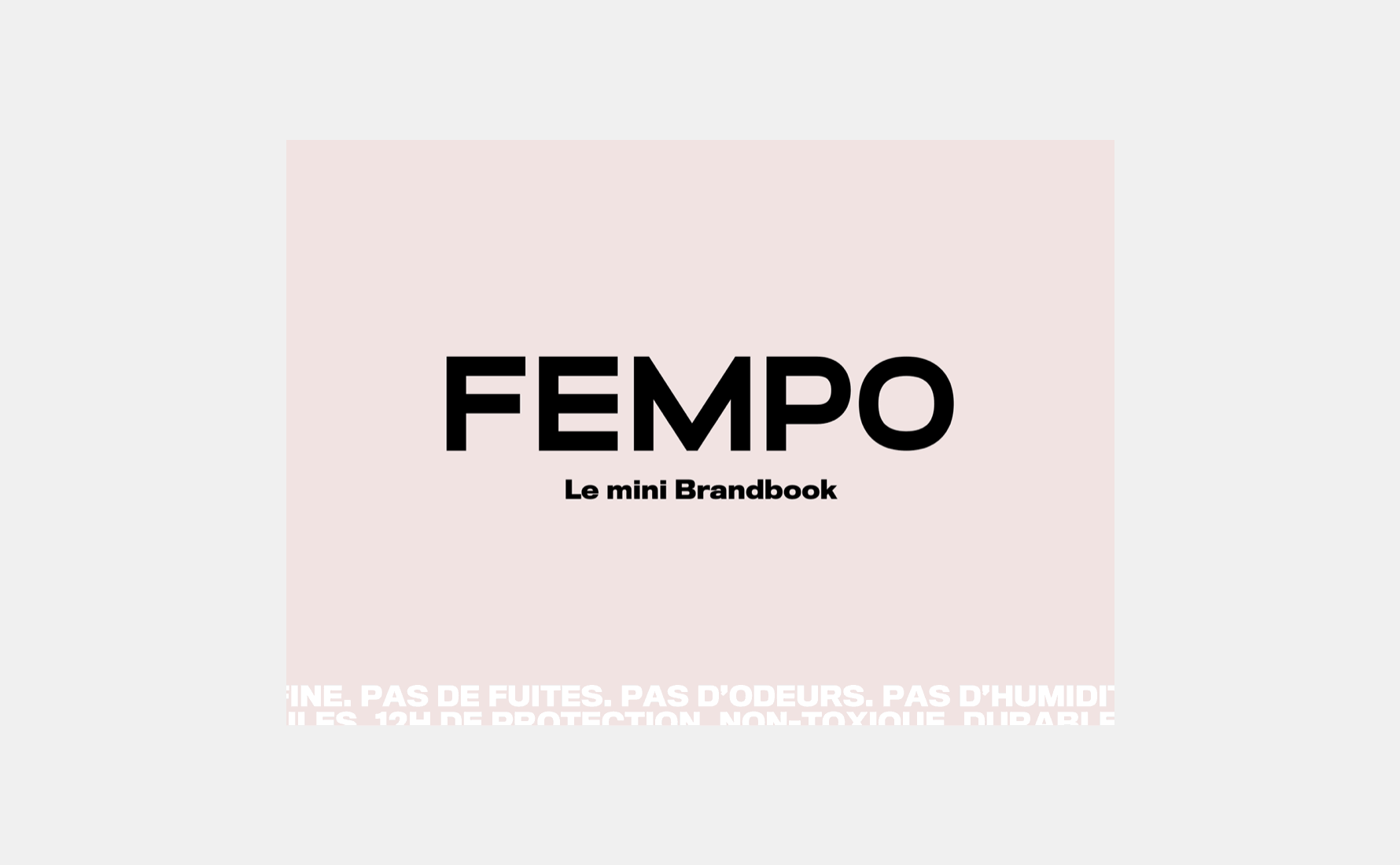 Brandbook FEMPO.gif
