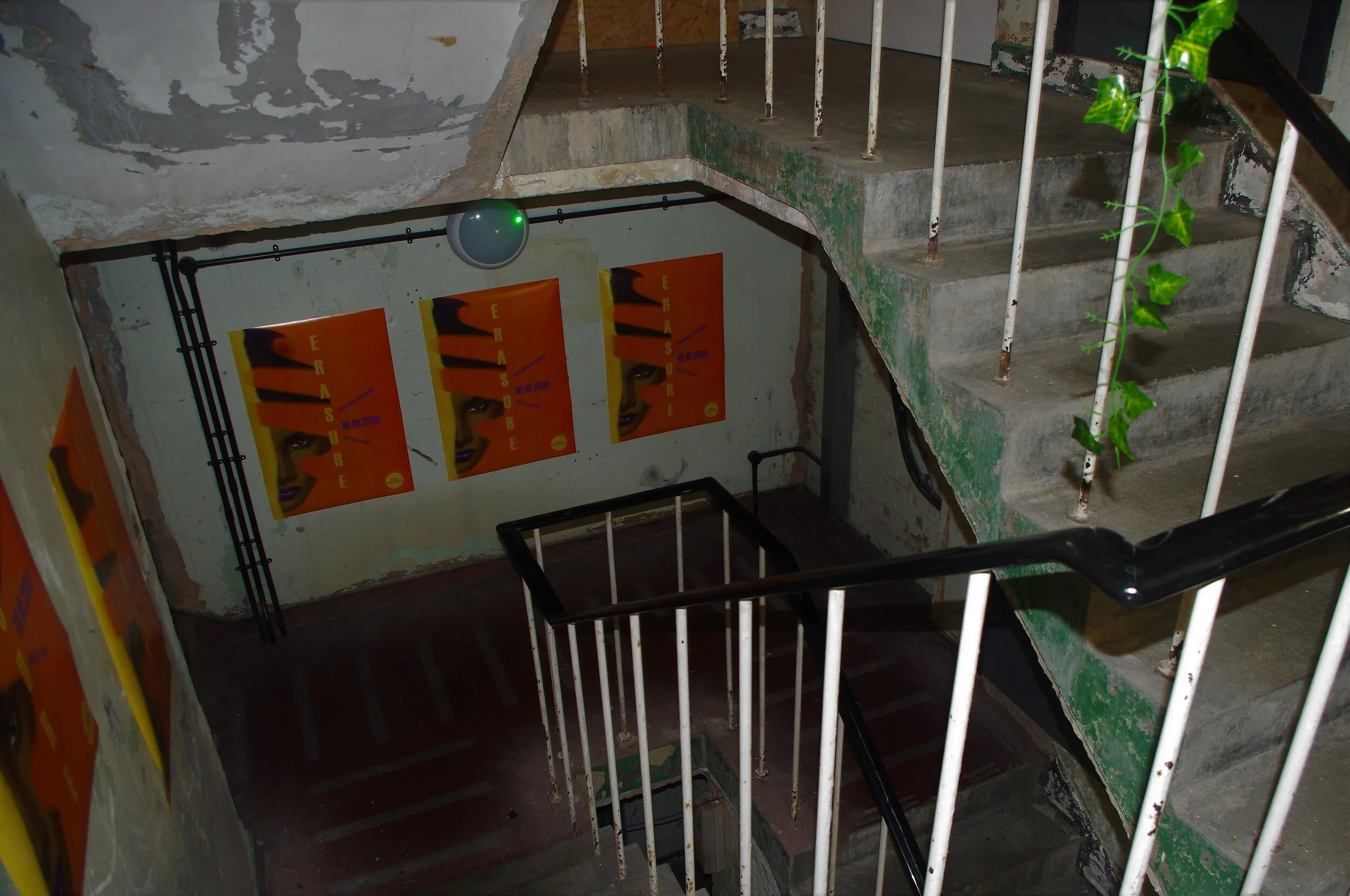 06. IMGP5077 (2).JPG