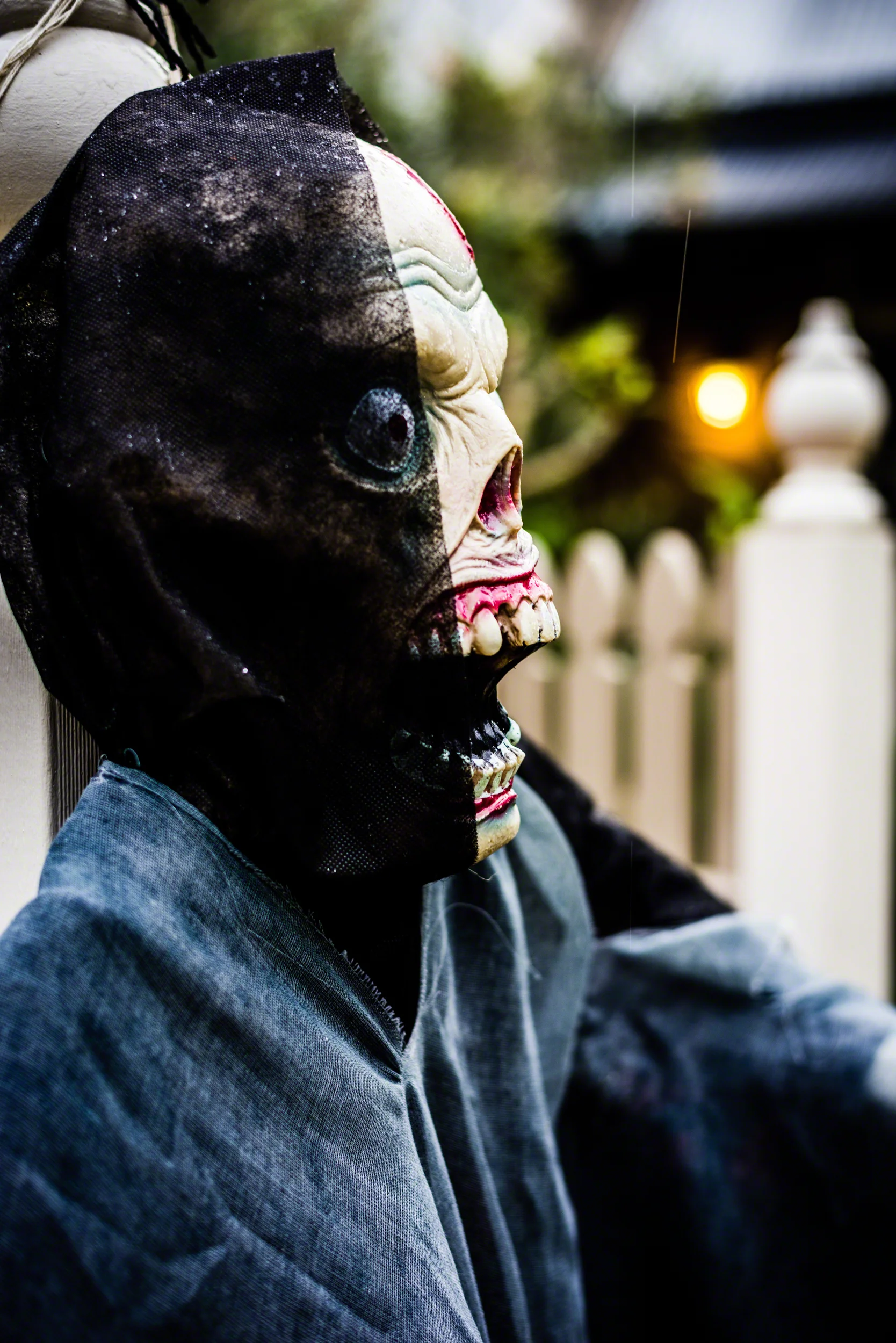 Spyrides_Kyle_31.10.2016_Halloween_PetershamDSC_3280.jpg