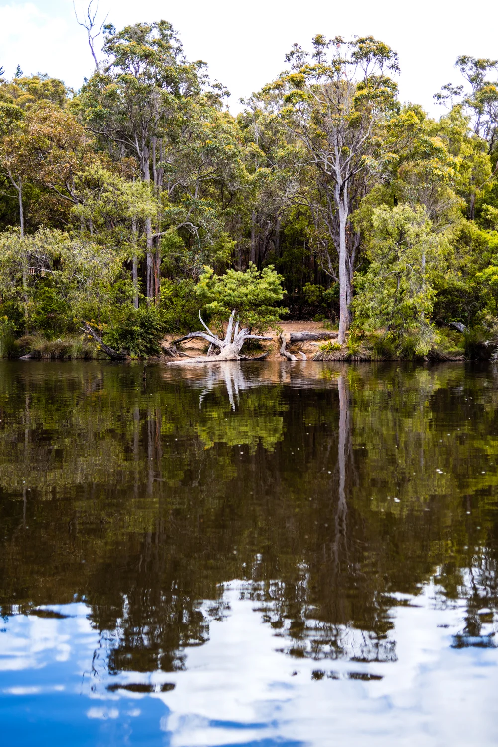 Spyrides_Kyle_Margaret_River_Tour_13.12.2017_DSC8542.jpg