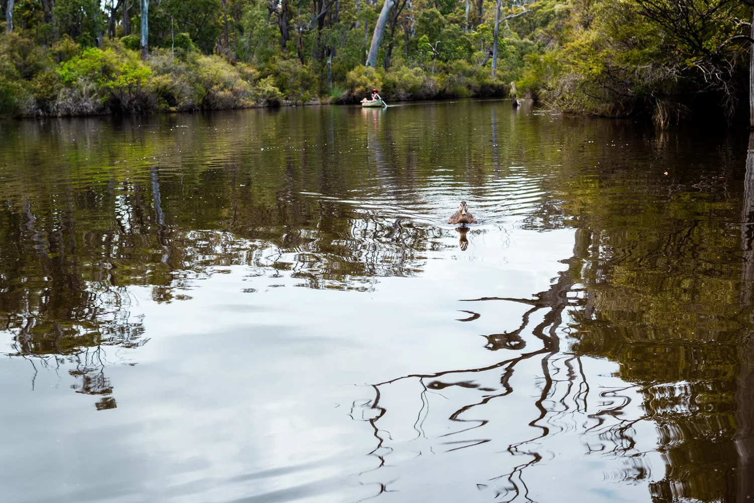 Spyrides_Kyle_Margaret_River_Tour_13.12.2017_DSC8546.jpg
