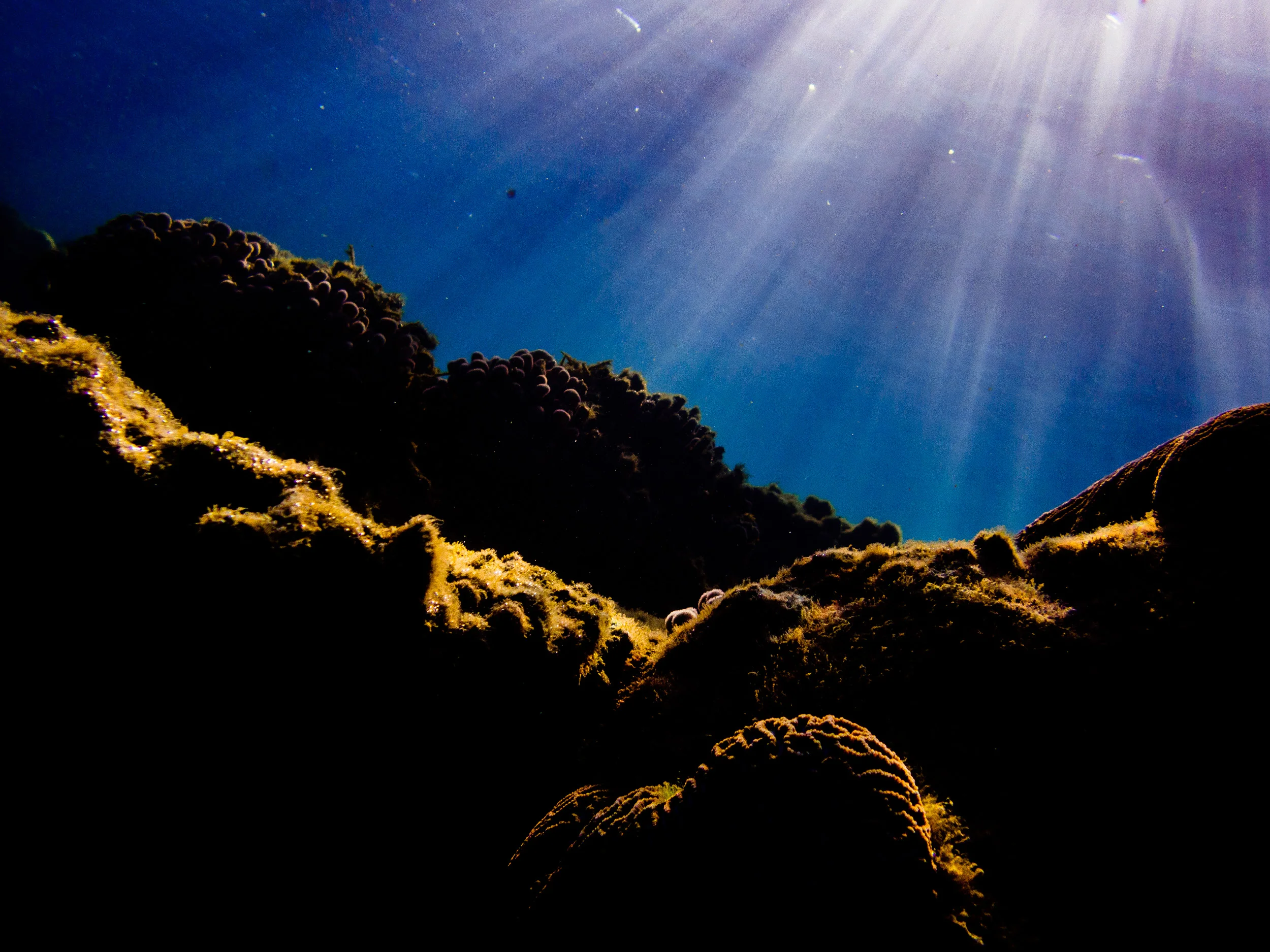 Spyrides_Kyle_Ningaloo_Reef_Sal_Salis.13.5.2016P5111104.jpg