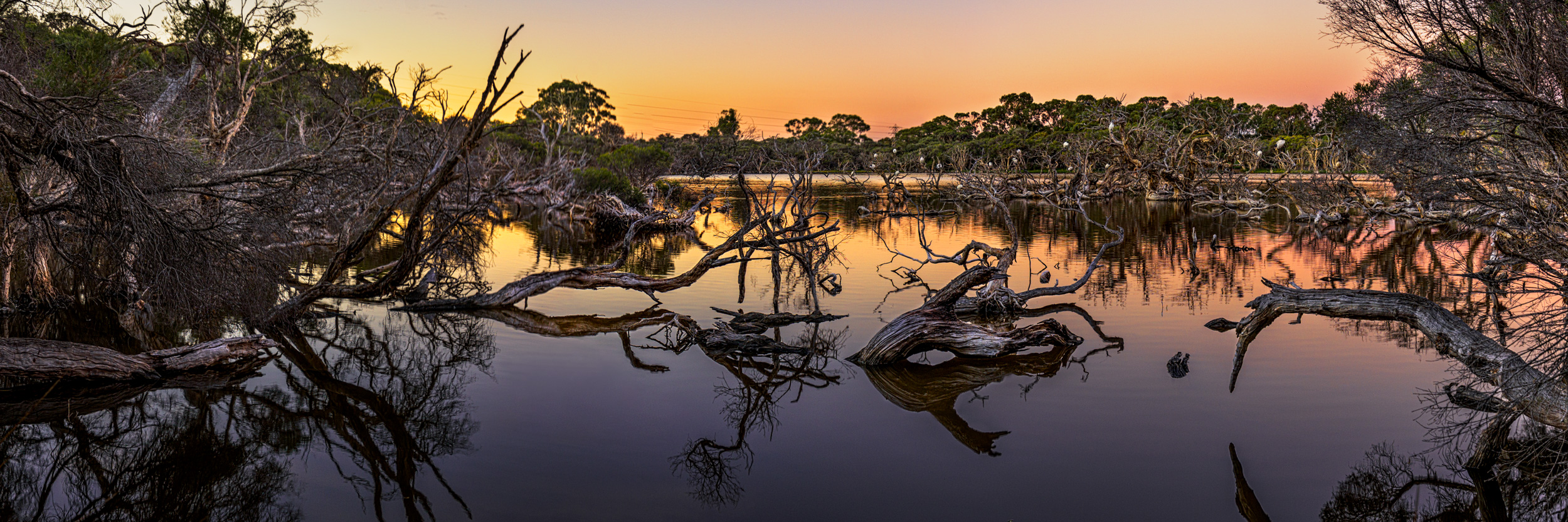 Spyrides_Kyle_Manning_Lake_Panorama_1_DSC2205.jpg
