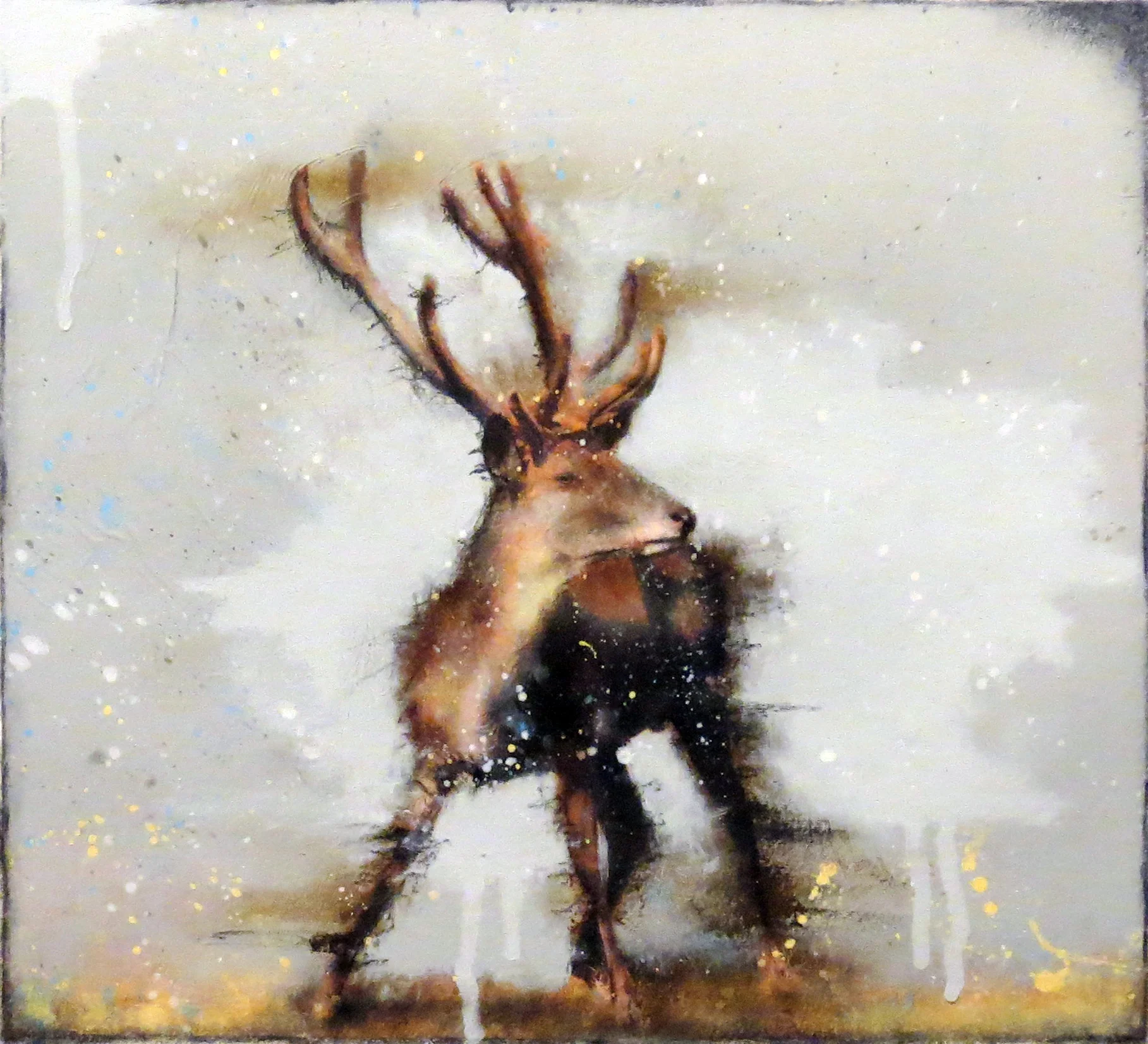 deer2_photomyCamera.jpg