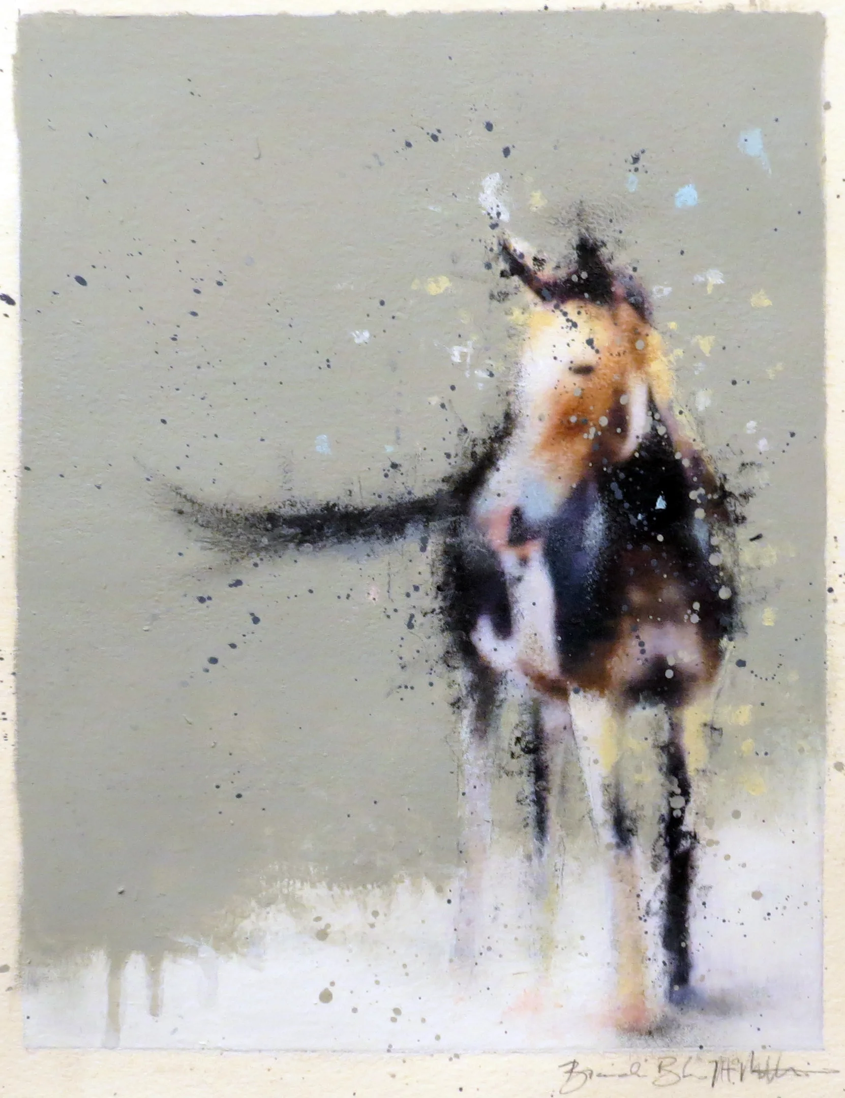 FadingRainbowsednasMule_final-photo_1.jpg