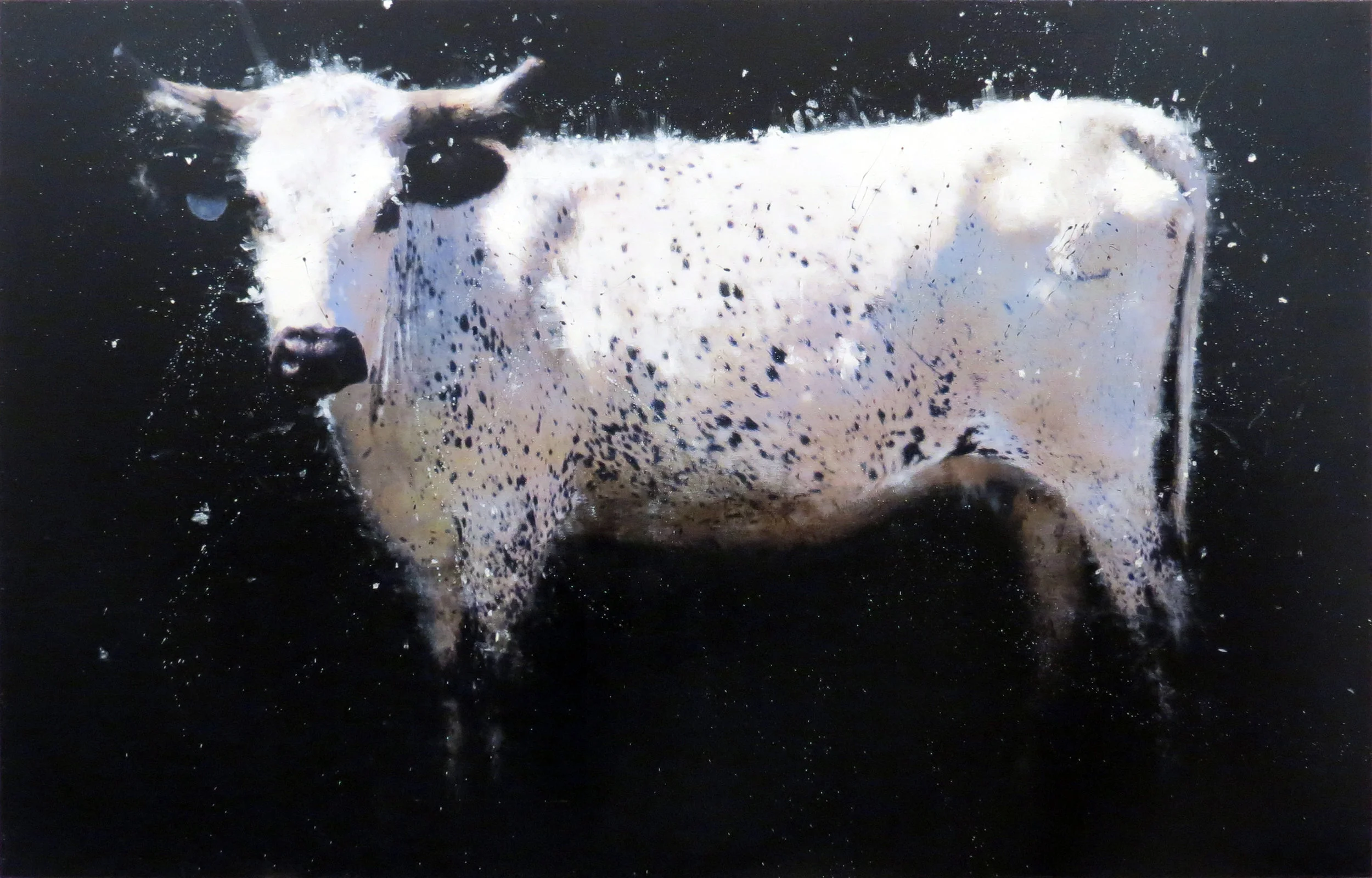 final-untitled-black-speck.jpg