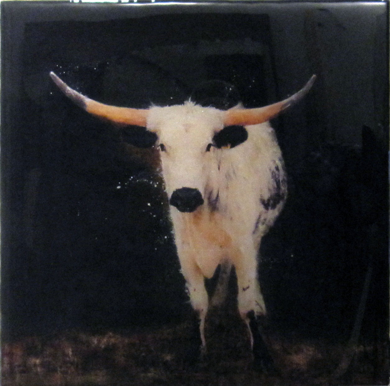 Shadow-Boxing25x25mixed-media-on-panelresin.jpg