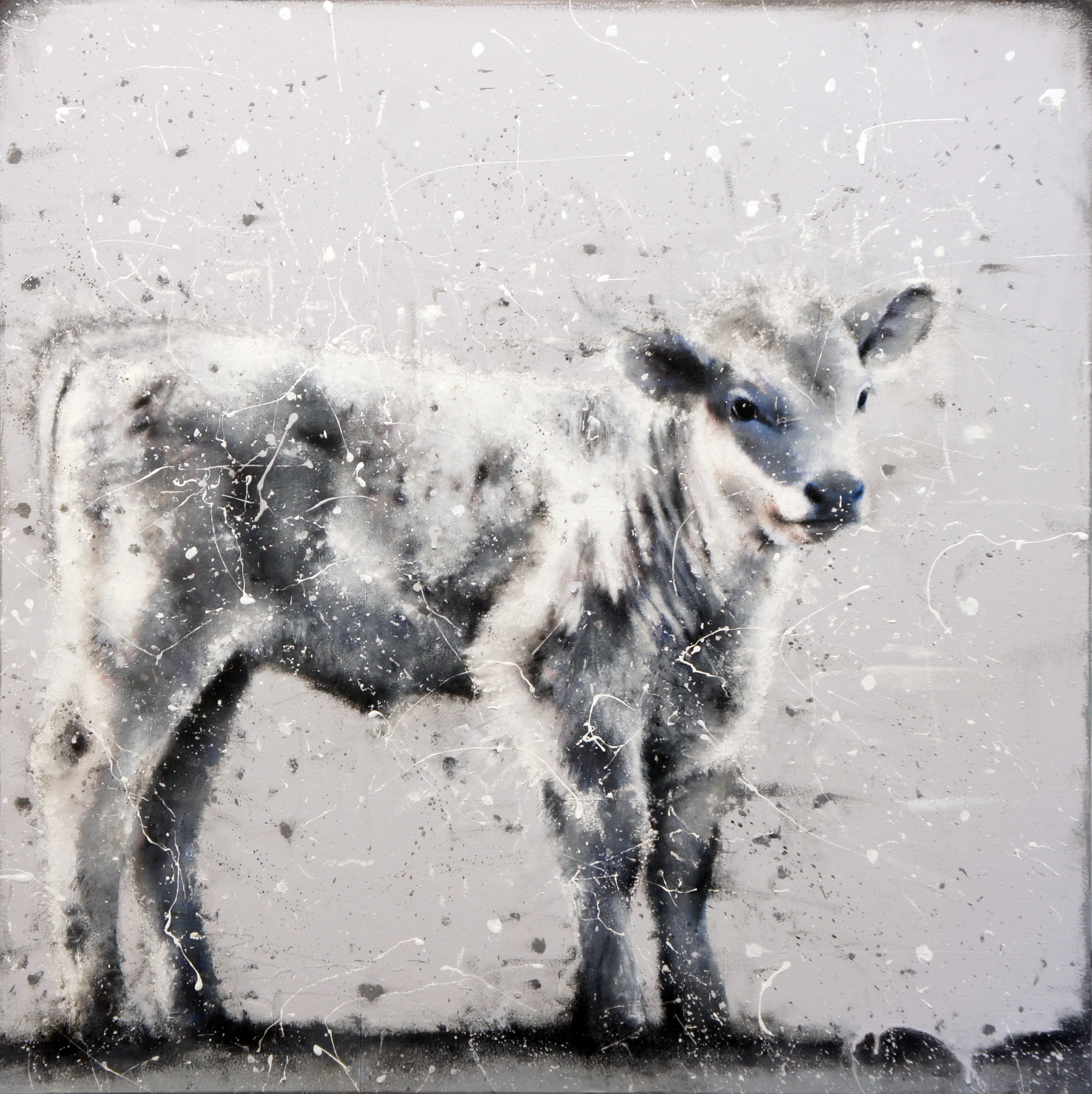 Soft-30x30.jpg