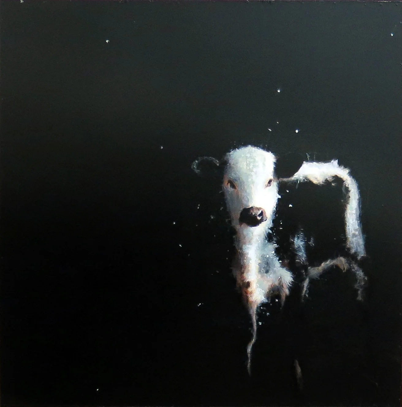 sugar-bellies42x42mixed-media-on-panelresin.jpg