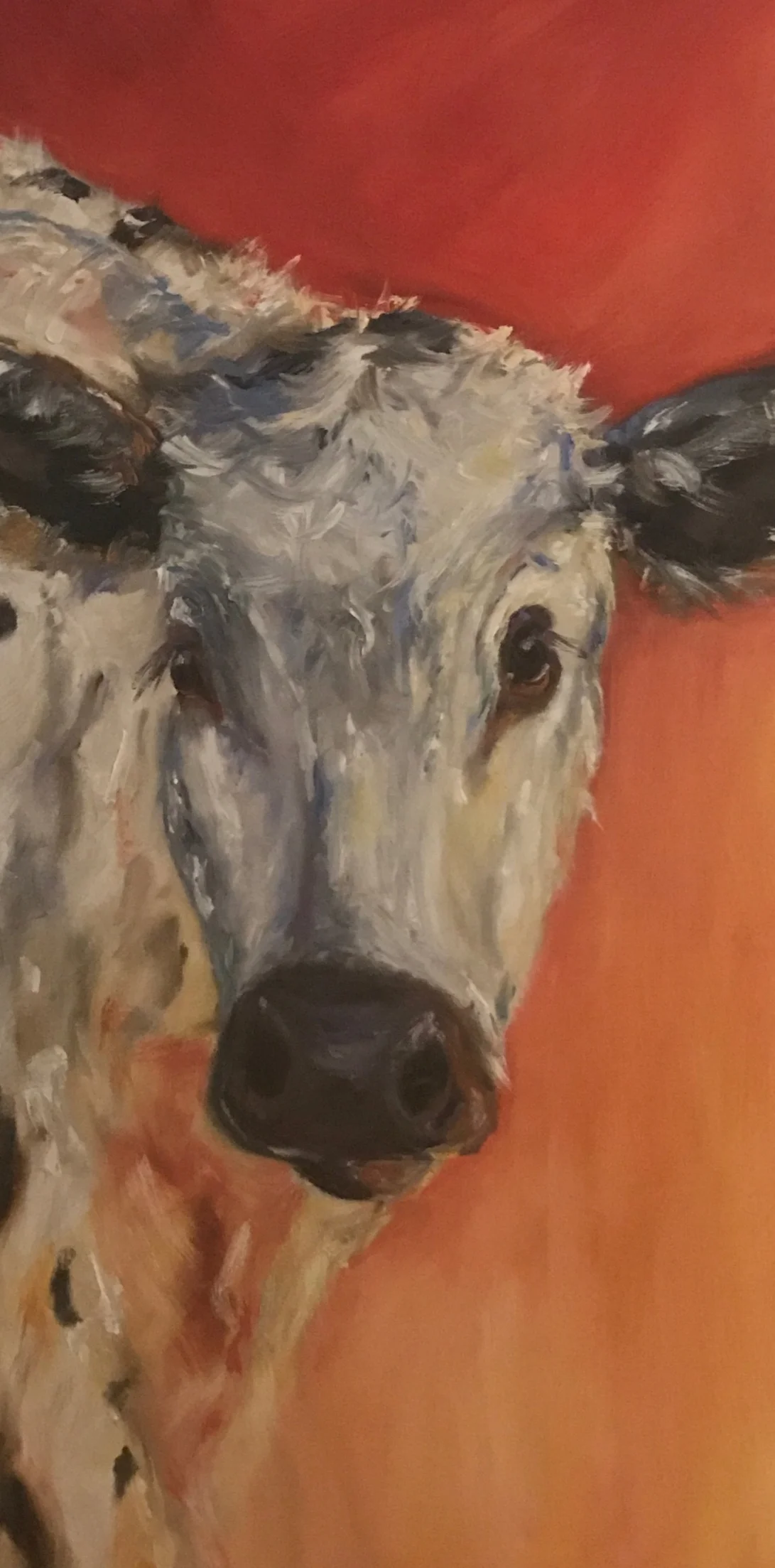 File Oct 24, 11 51 55 AM.jpeg