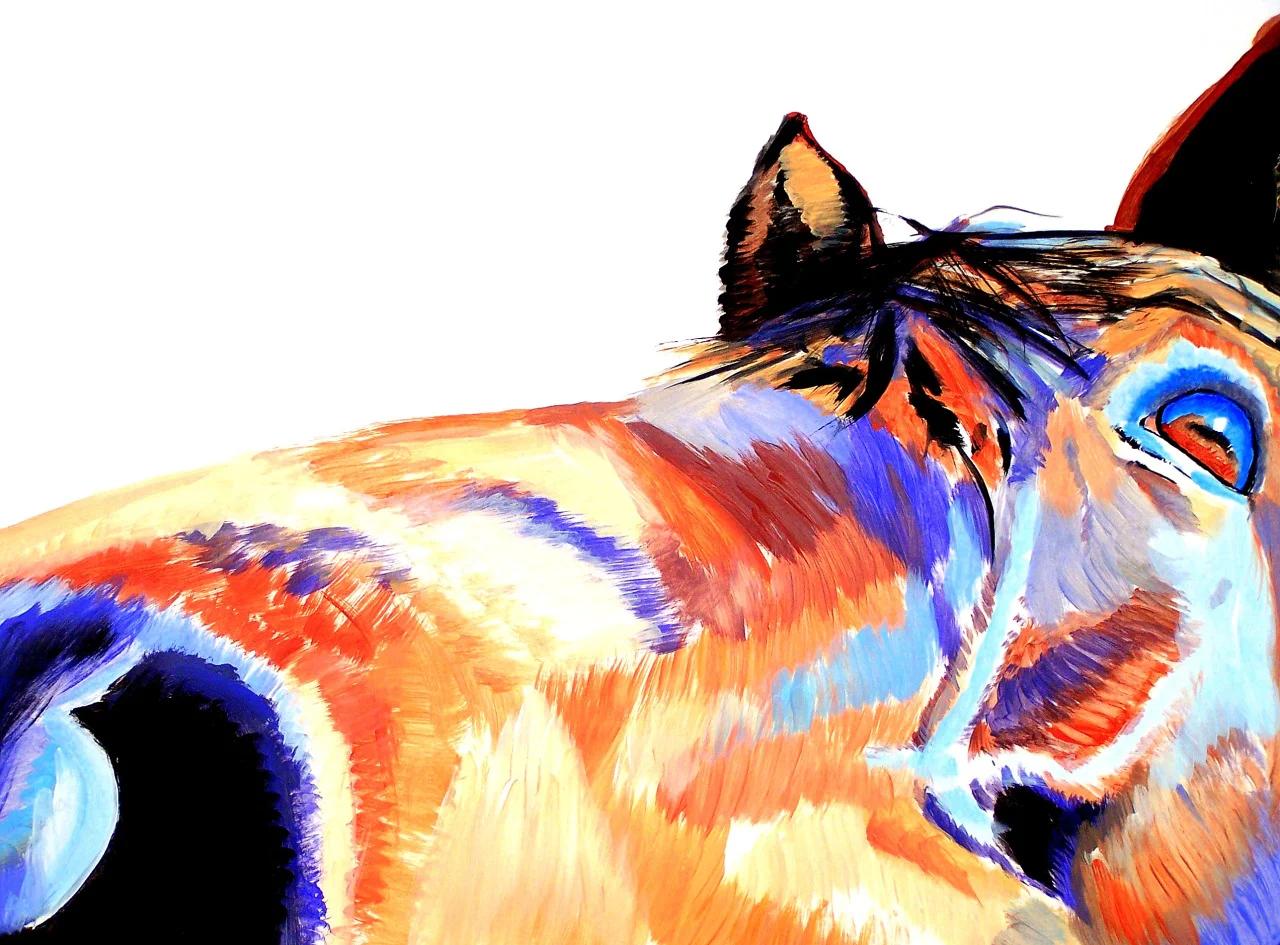 tumblr_oejf15KMW01s5wskqo1_1280.jpg