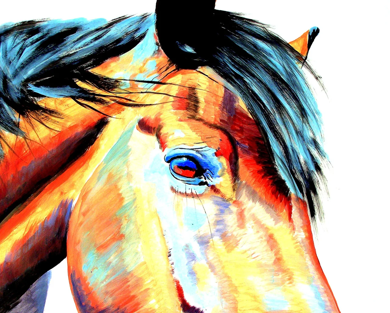 tumblr_oencpx7Uwk1s5wskqo1_1280.jpg
