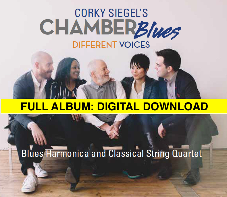 Chamber Blues Different Voices MP3