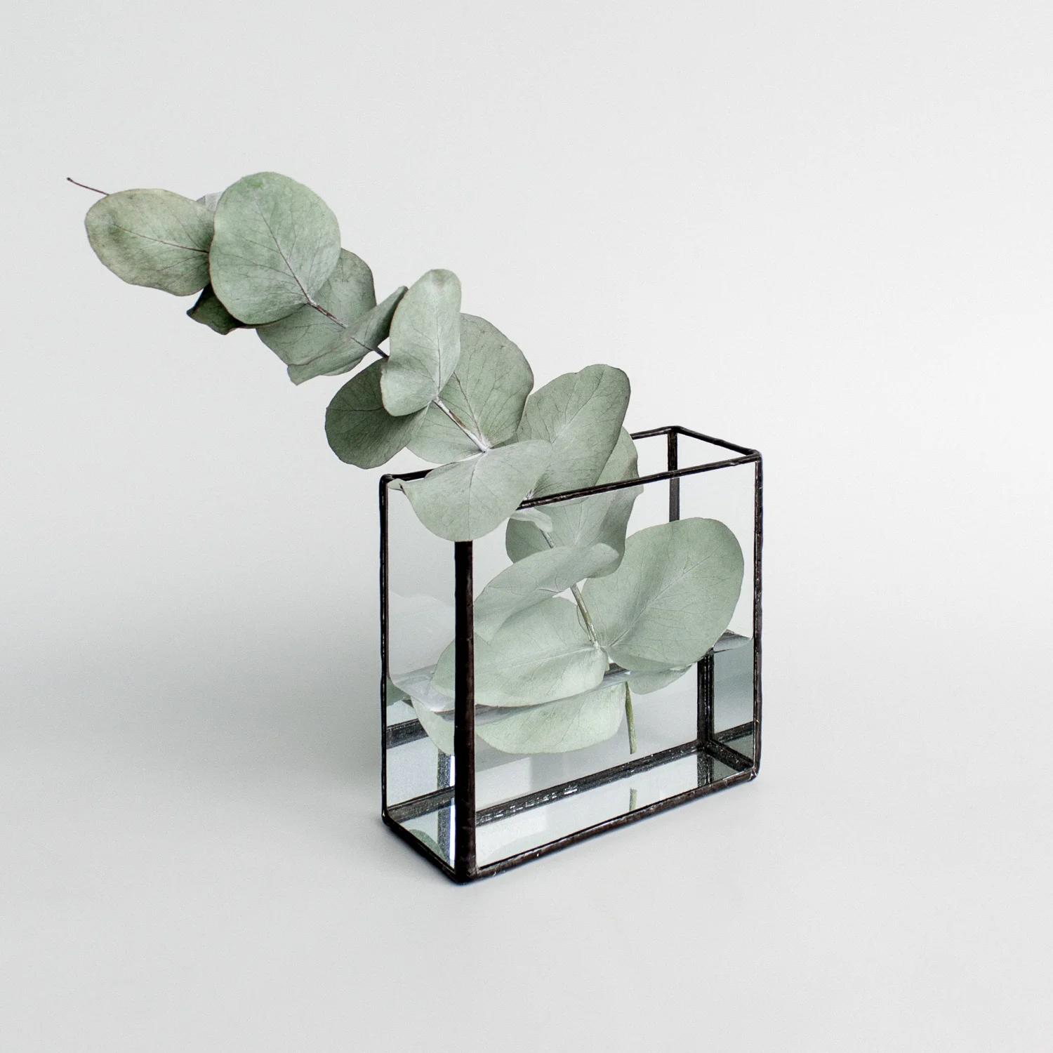 Monti Pappus Square Glass Display Box Terrarium