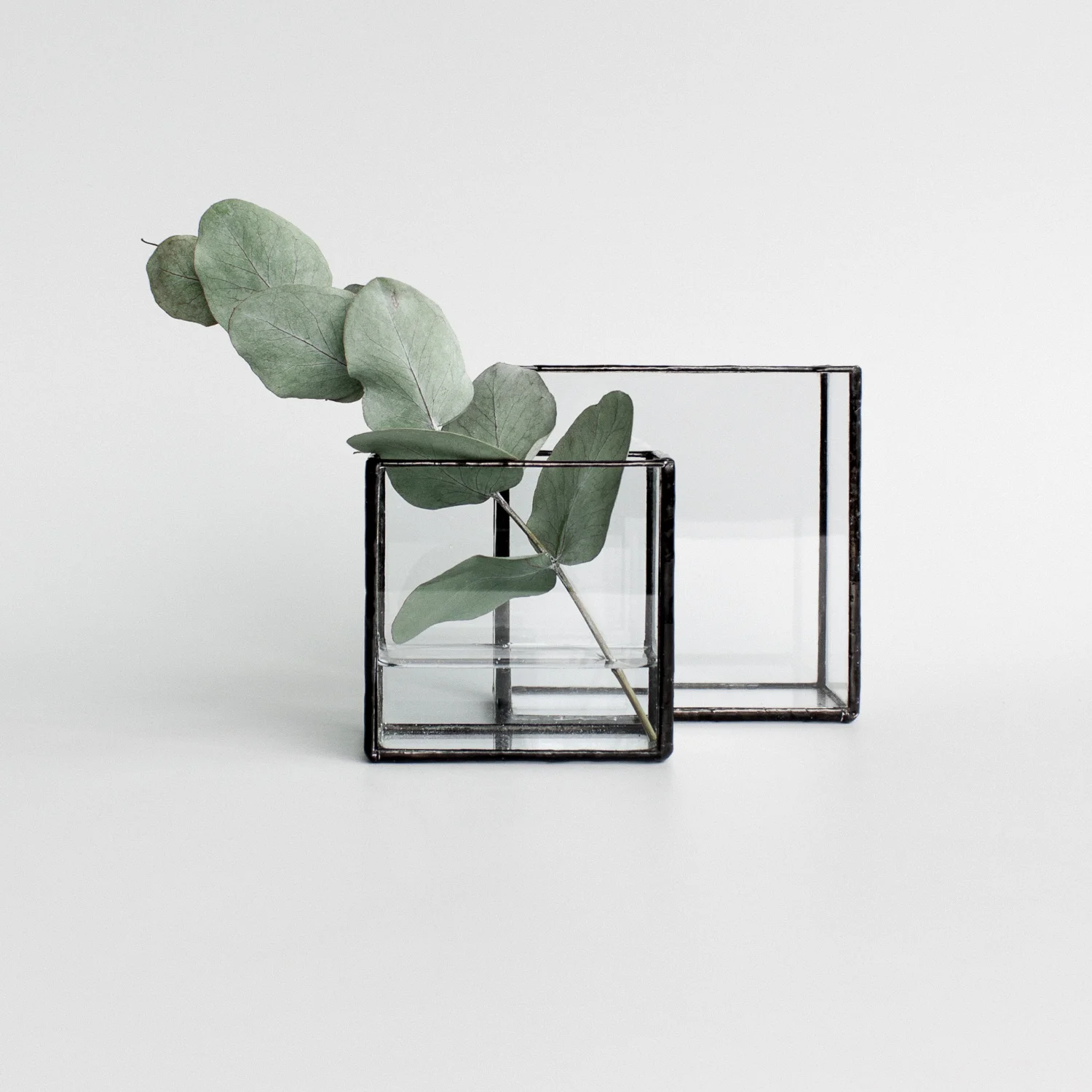 Monti Pappus Square Glass Display Box Vase