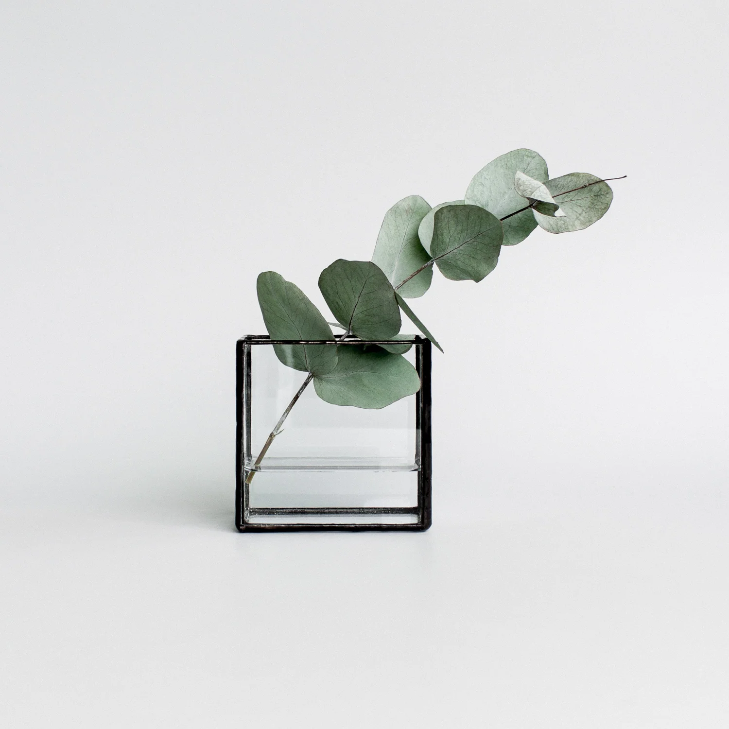 Monti Square Glass Display Box Vase