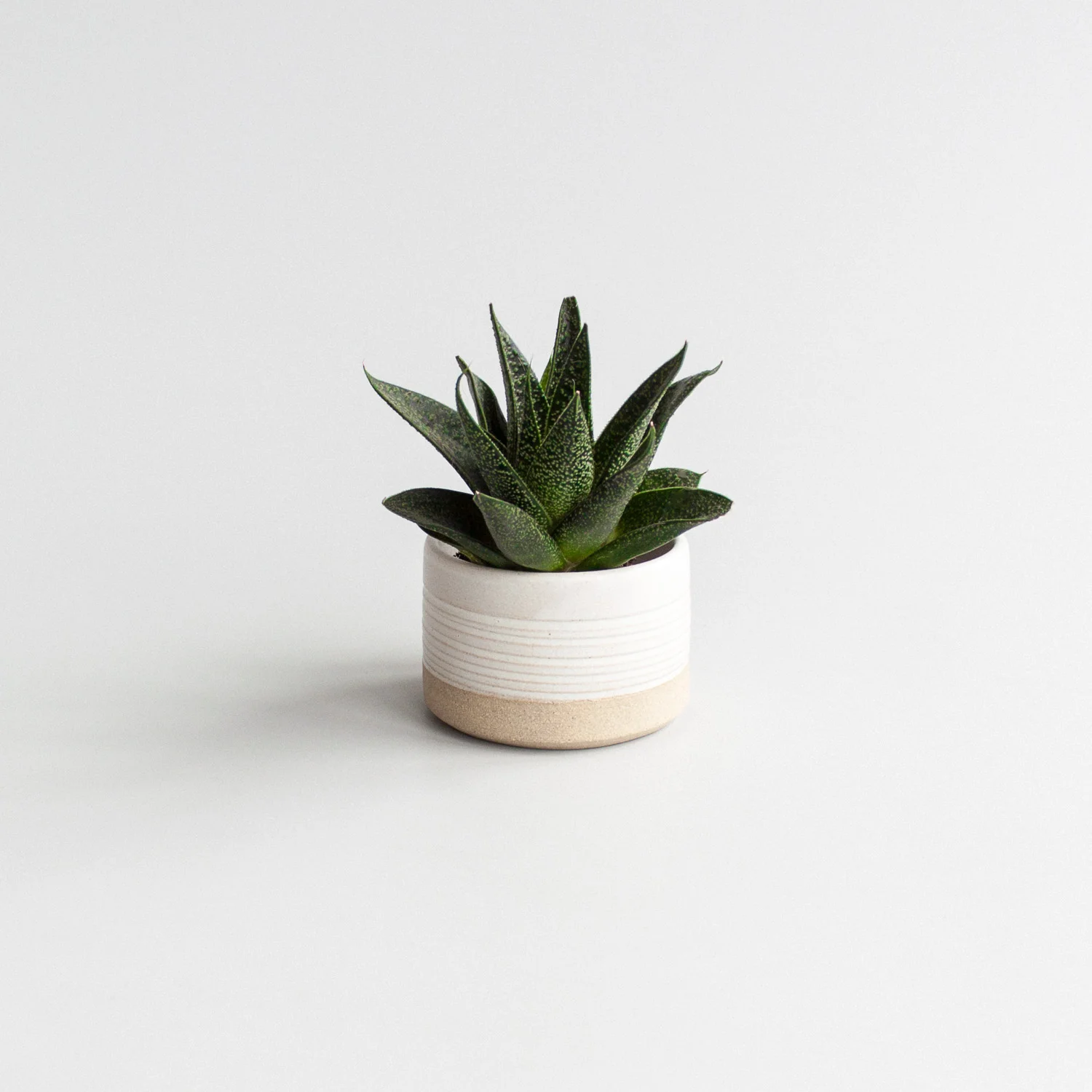 Ceramic Plant Pot