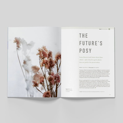Bloom+Mag+Issue+2+Spread.jpg