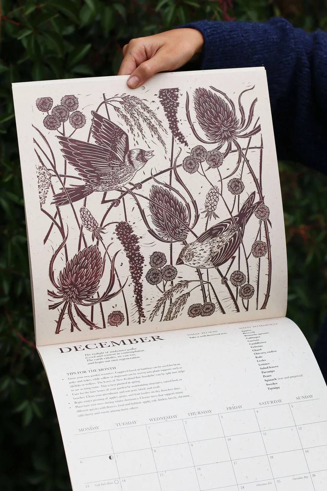 Growing-Calendar-Isla-Middleton-2.webp