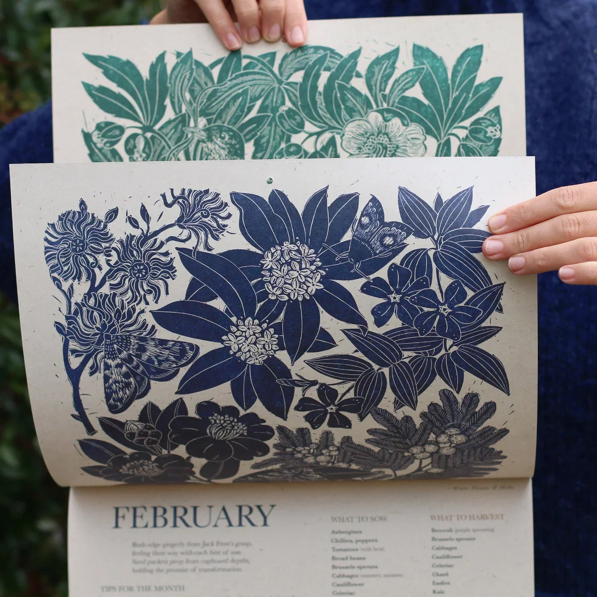 Growing-Calendar-Isla-Middleton-3.webp
