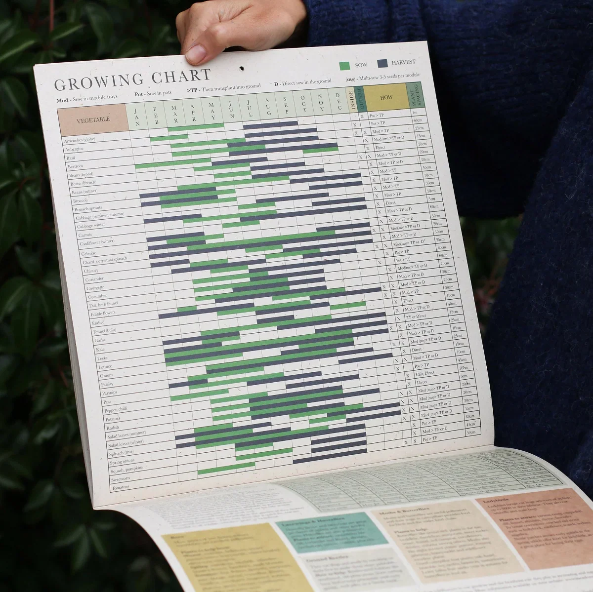 Growing-Calendar-Isla-Middleton-4.webp