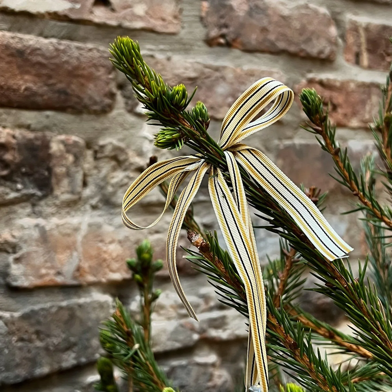 Murano Glass Bauble Tree
