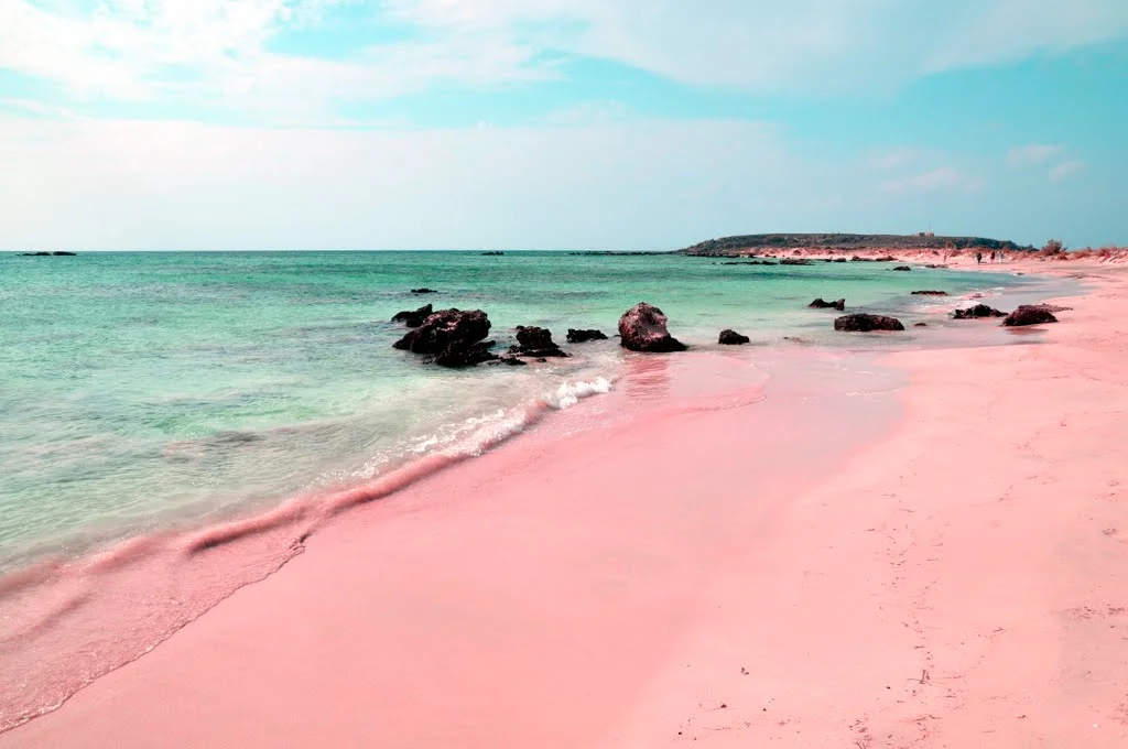 pink beach.jpg