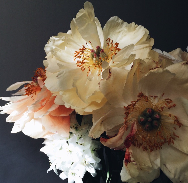 flower 1.jpg