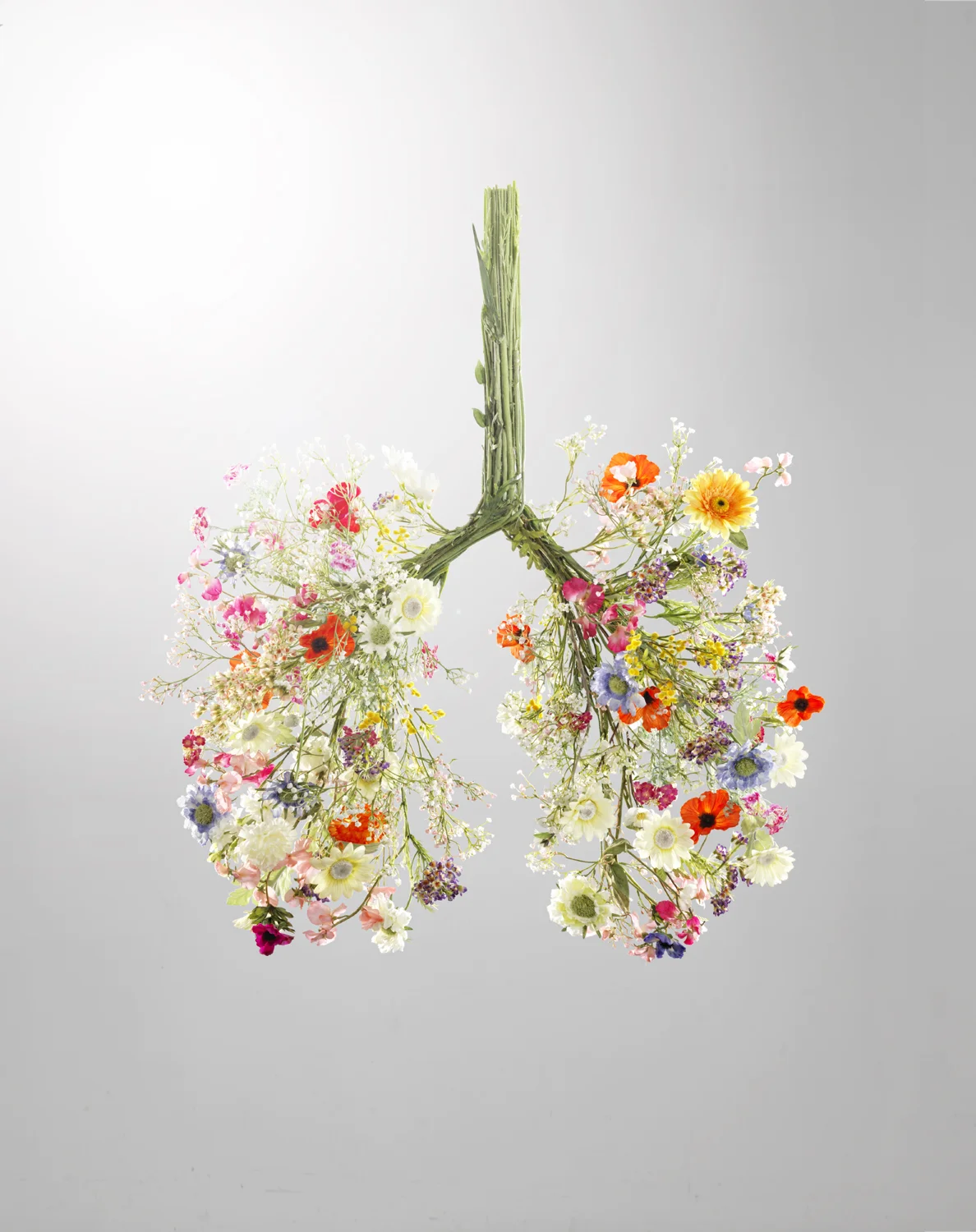 Flower Lungs
