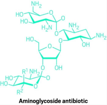 Why baking soda could help boost the killing power of some antibiotics