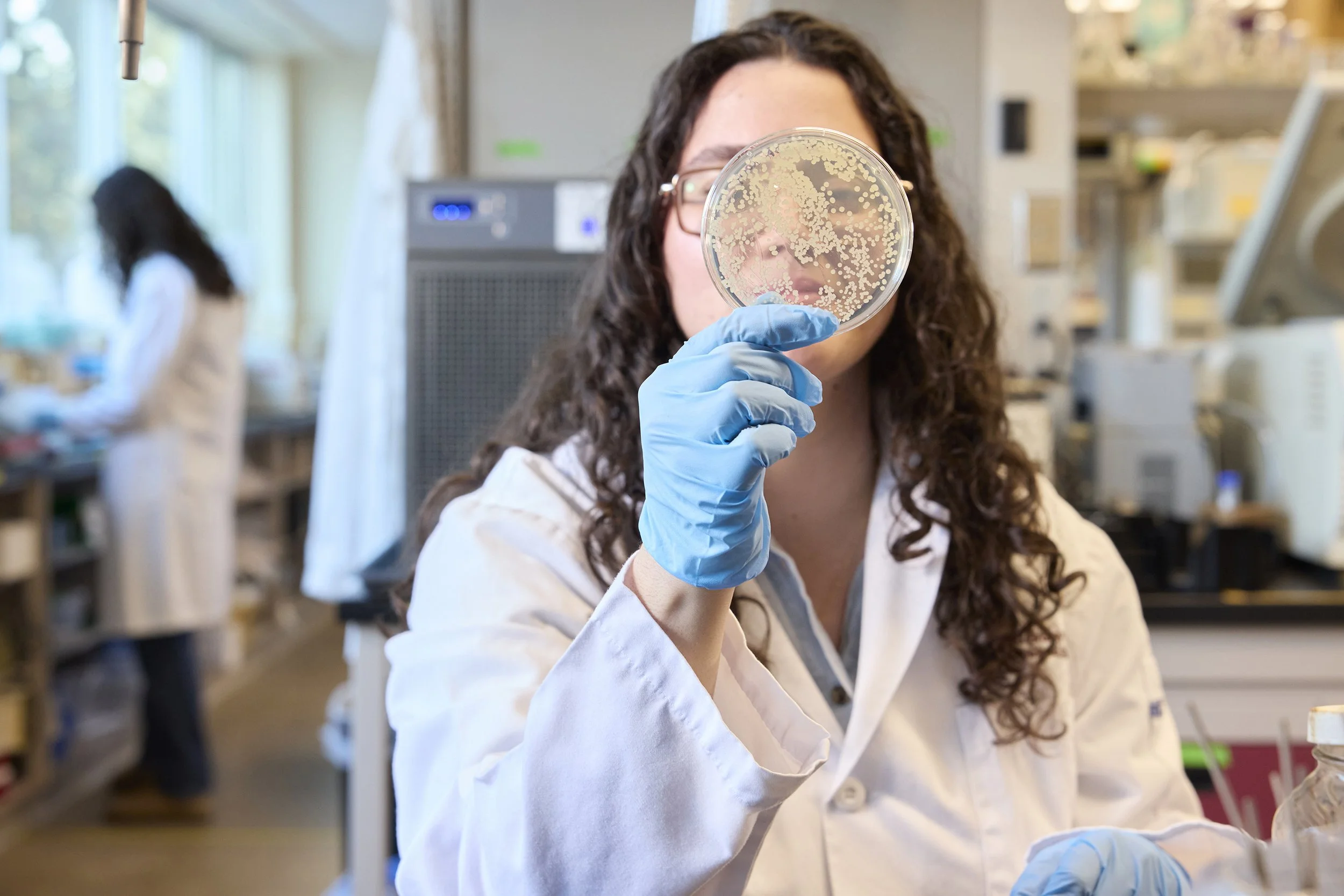 054.-brown lab-2026.jpg