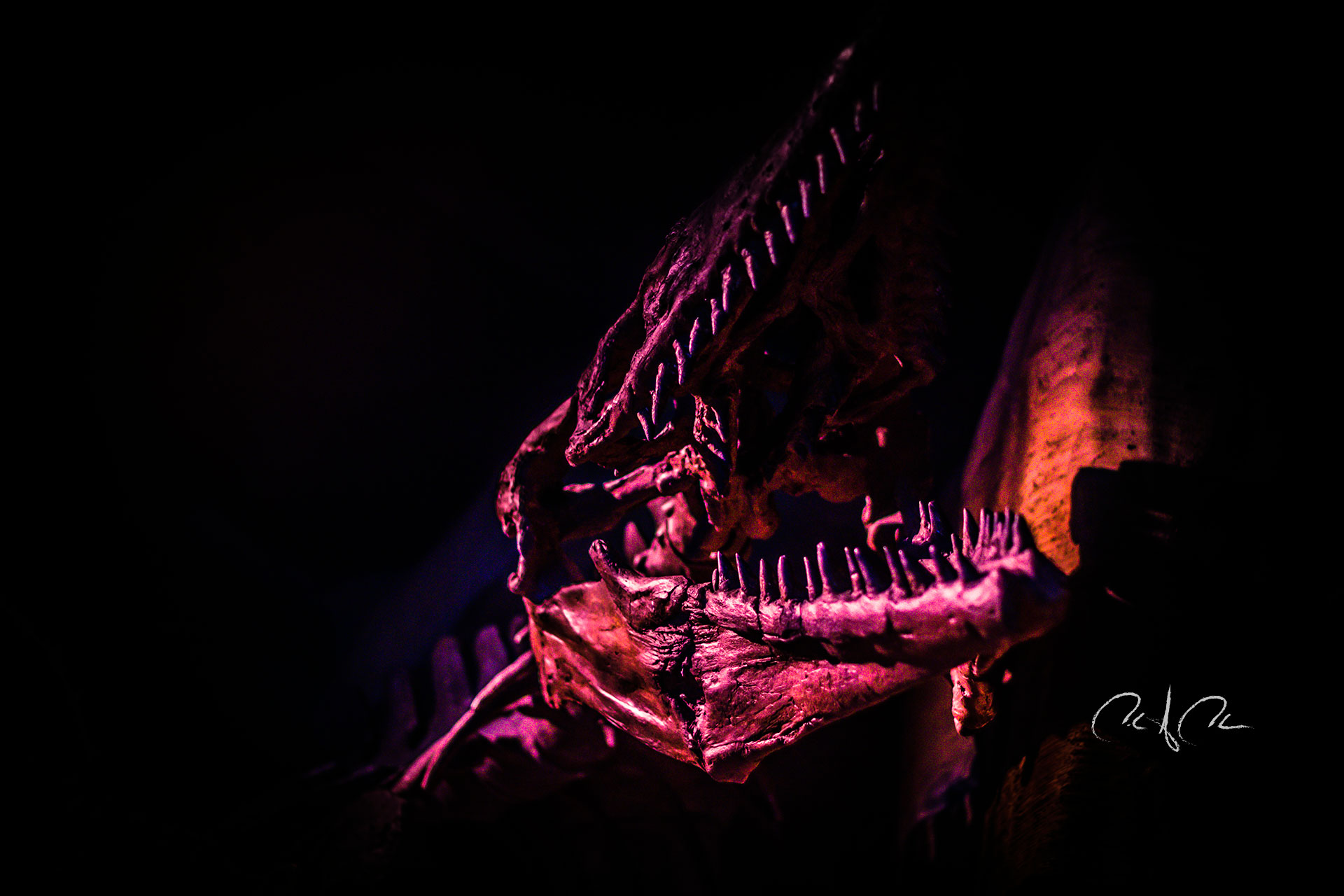 T-Rex