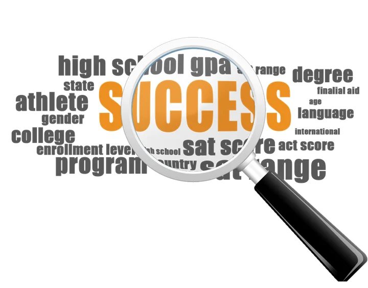 Project Sucess