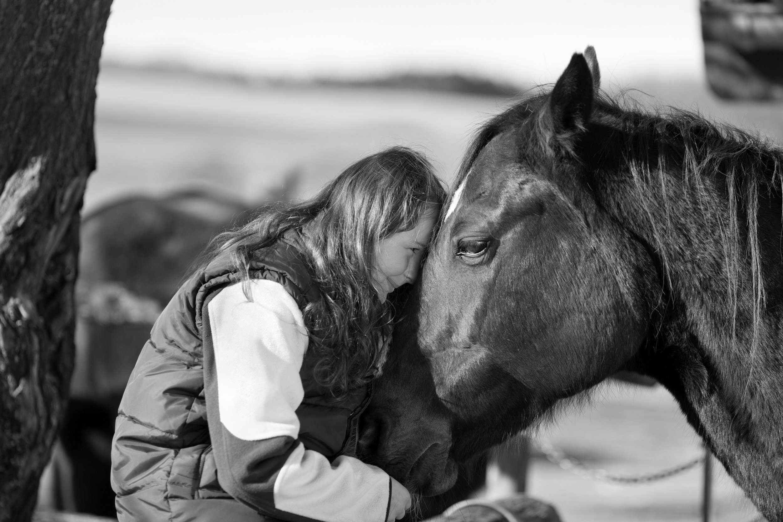 shutterstock_140935249-B&W.jpg