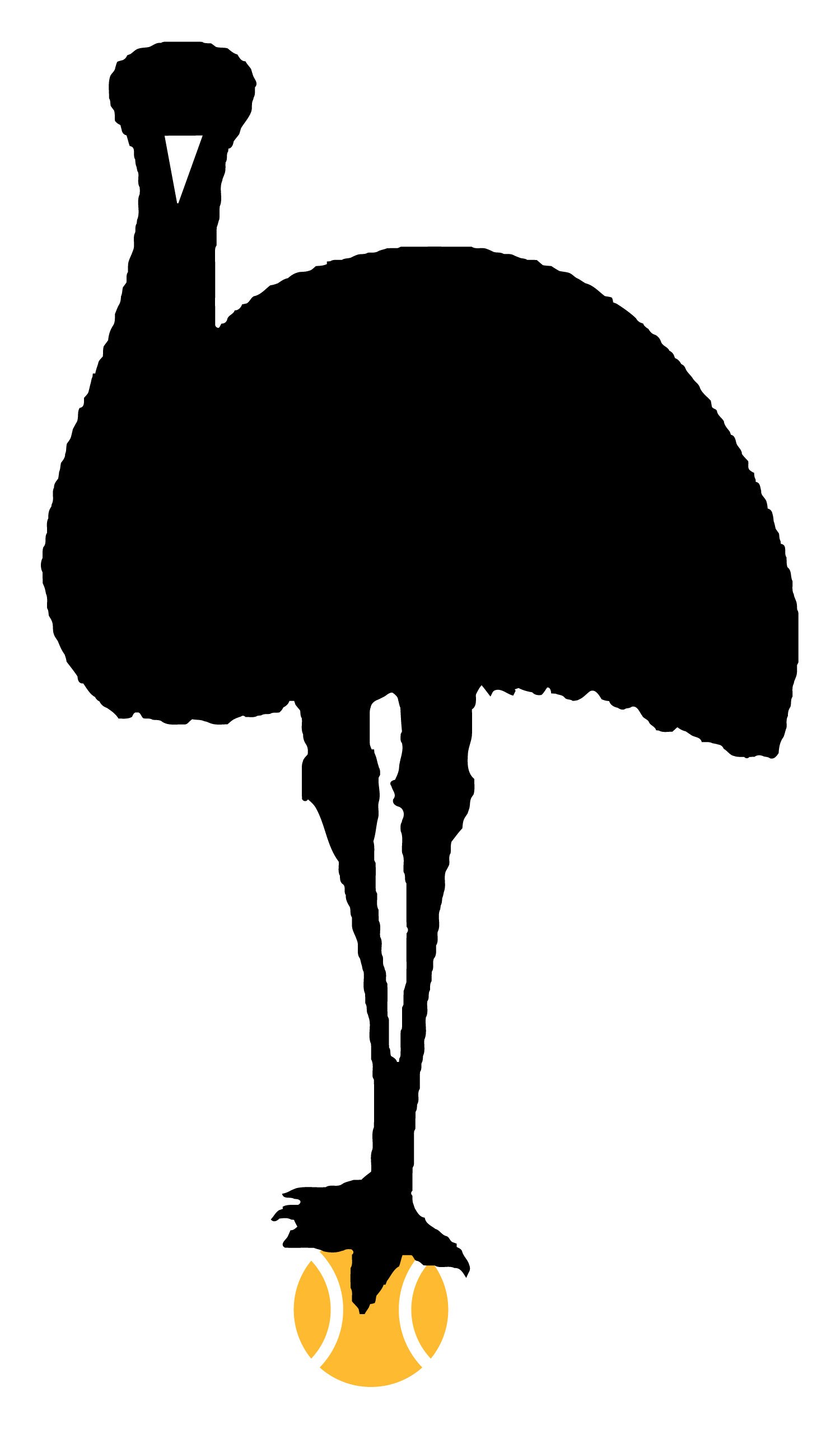 TCAOtee_emu_illustration.jpg