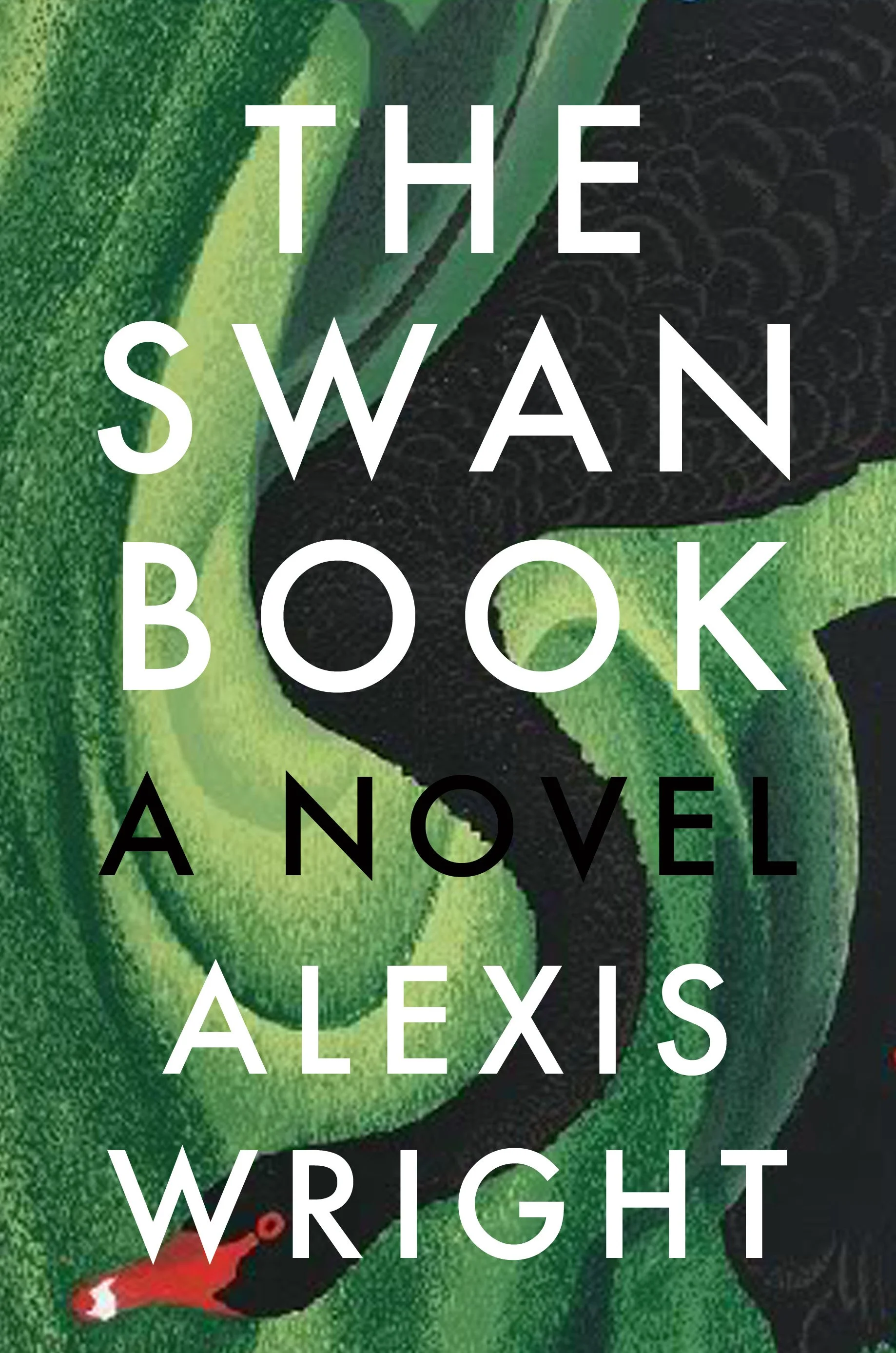 the swan book.P1C3.jpg