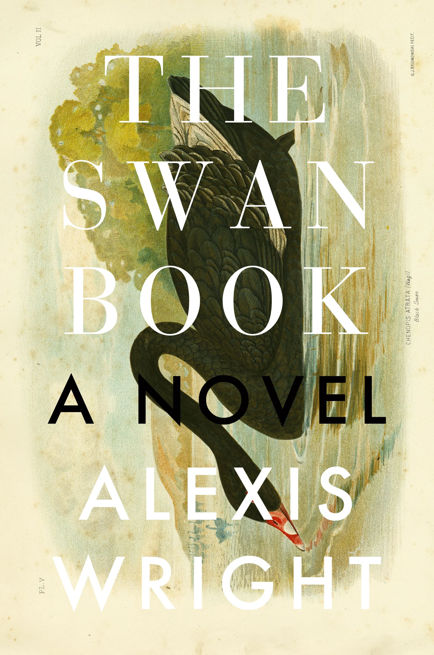the swan book.P1C4.jpg